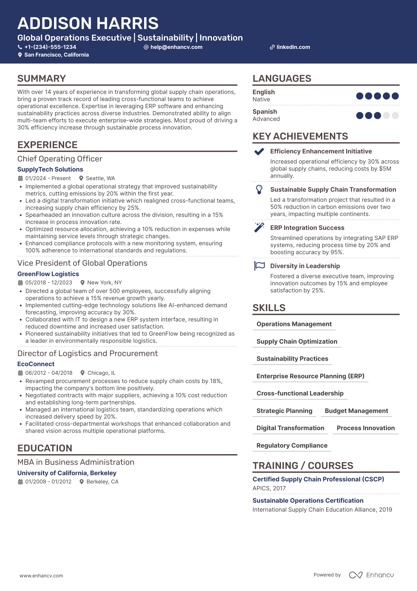Global Chief Operating Officer Resume Example