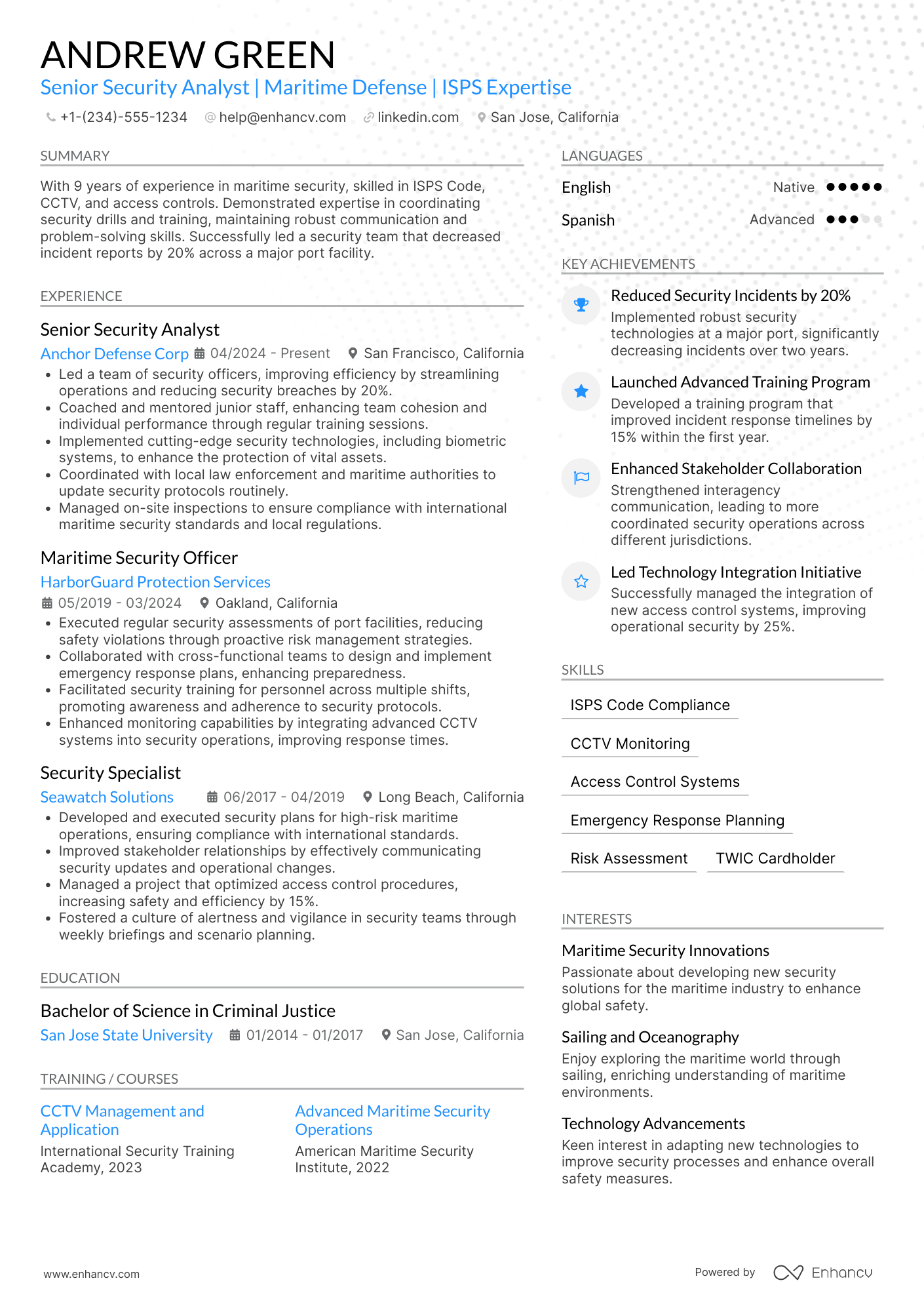 Maritime Security Officer Resume Example
