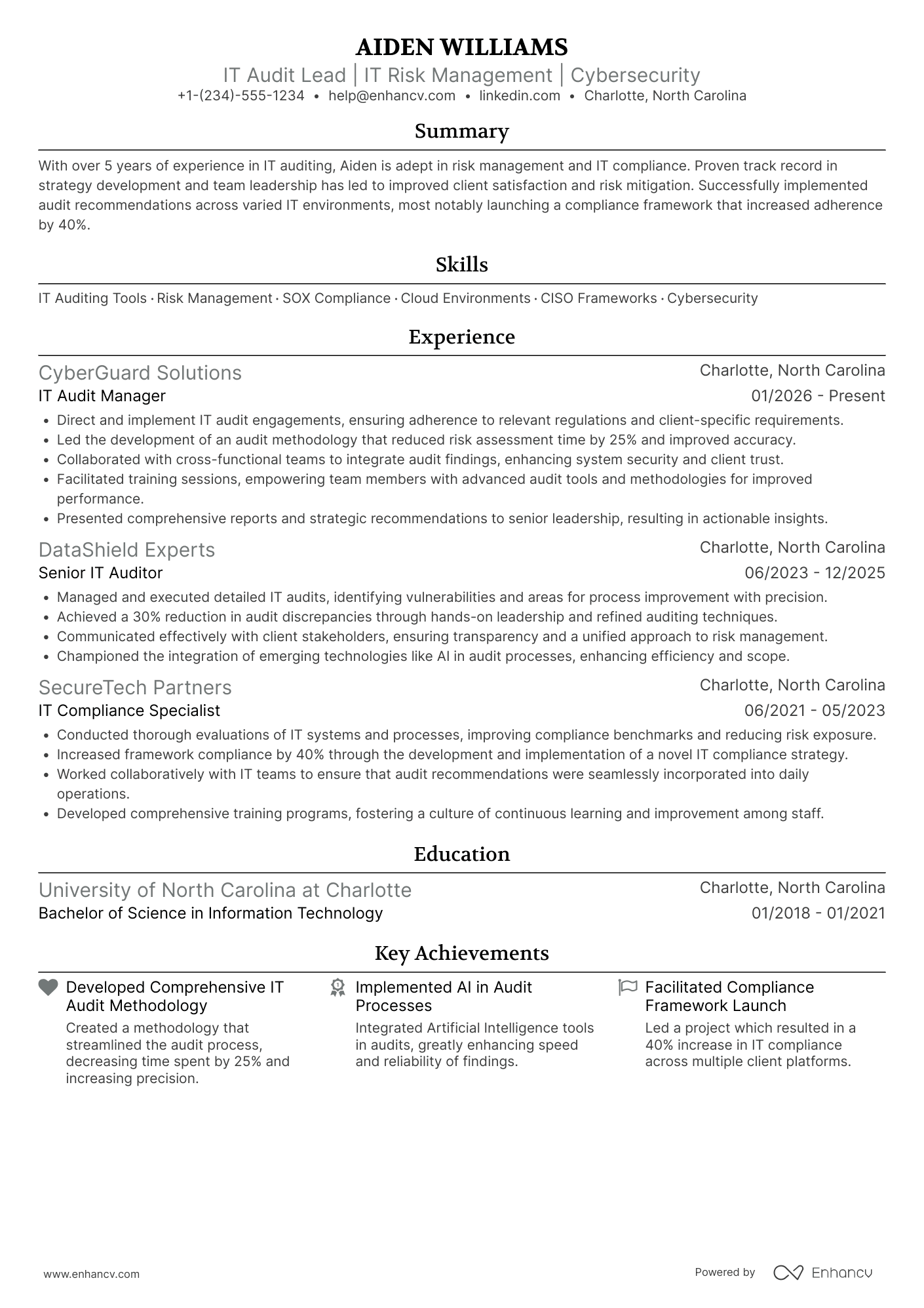 IT Audit Partner Resume Example