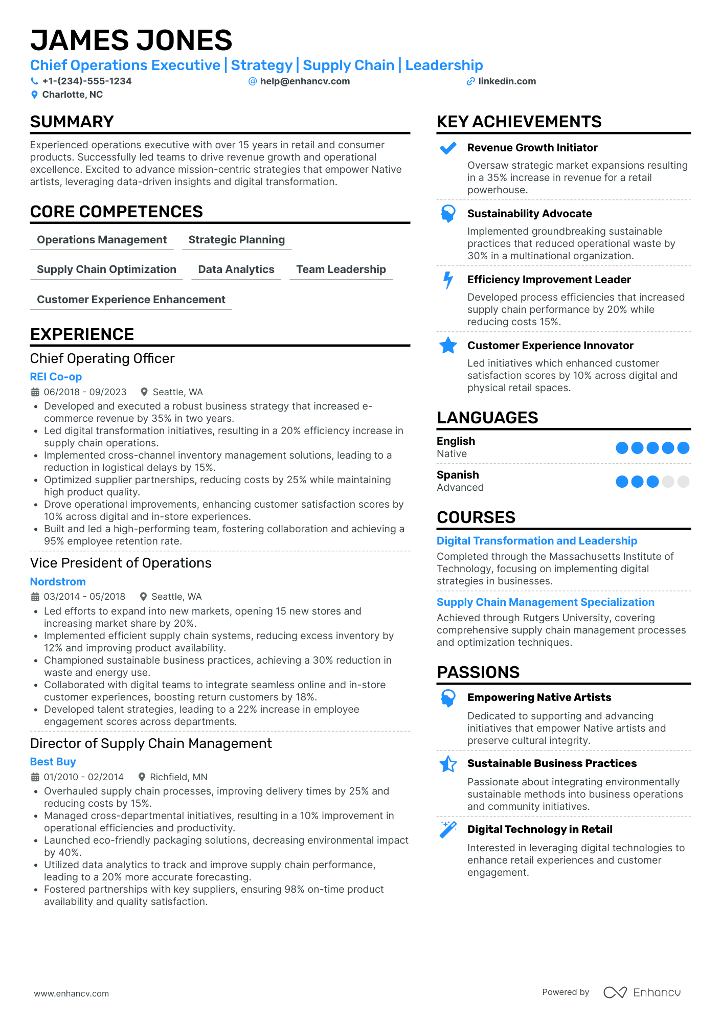 Chief Executive Officer in Hospitality Resume Example