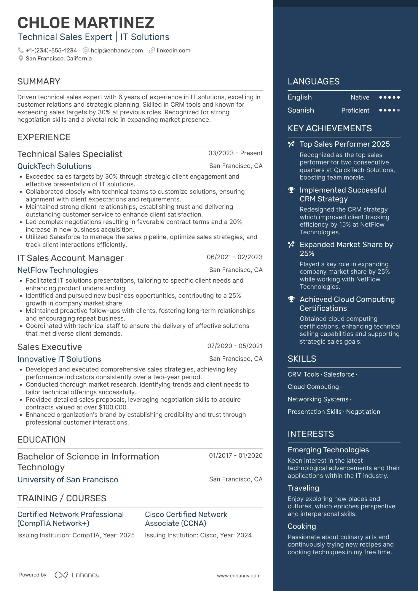 Technical Sales Person Resume Example