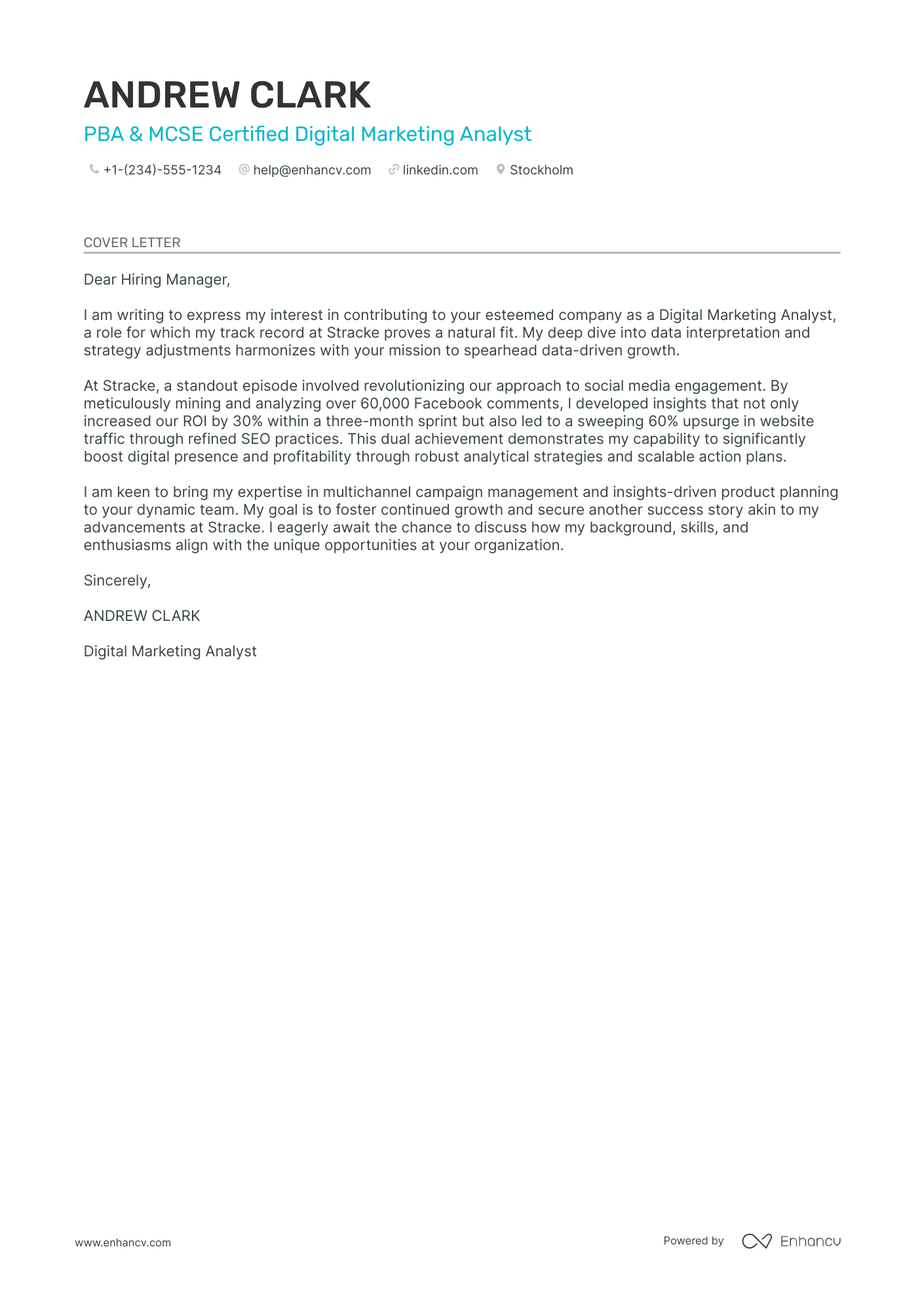 Digital Marketing Analyst Resume Example