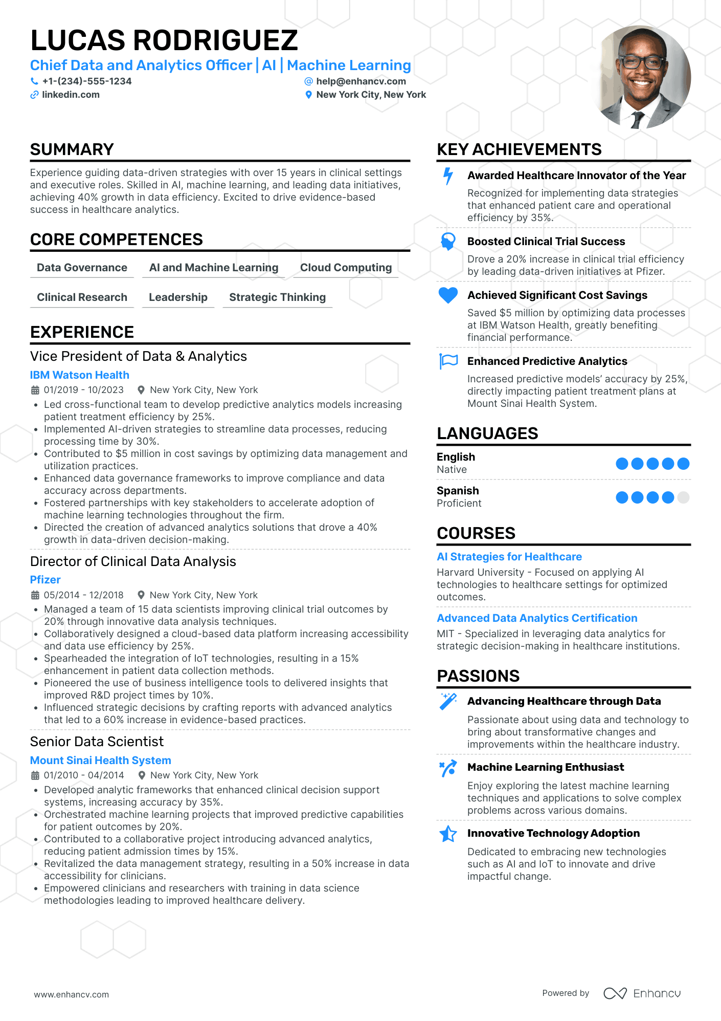 Chief Analytics Officer Resume Example
