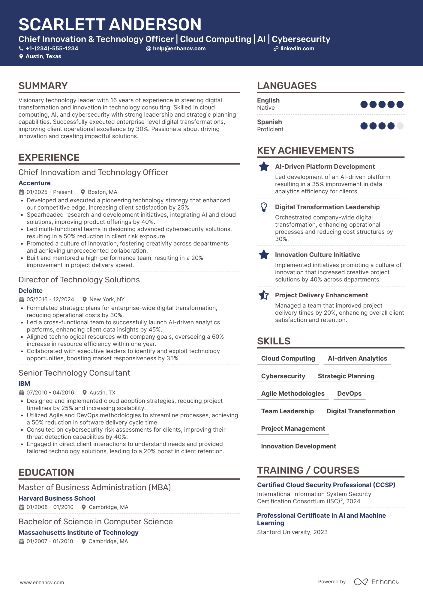 Chief Innovation and Technology Officer Resume Example