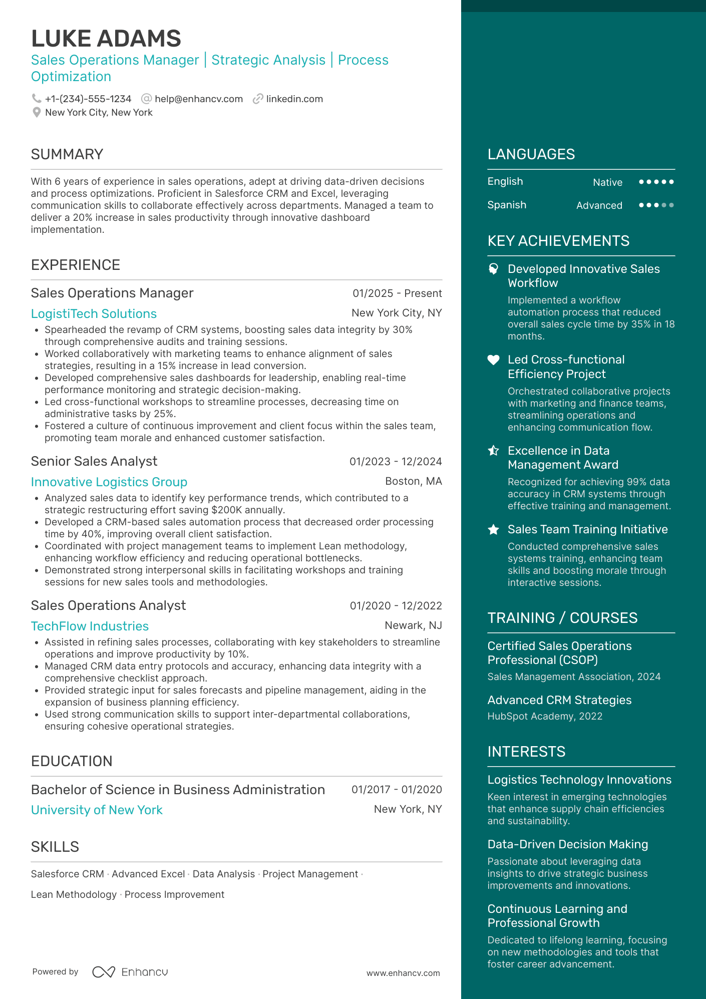 Sales Operations Manager Resume Example
