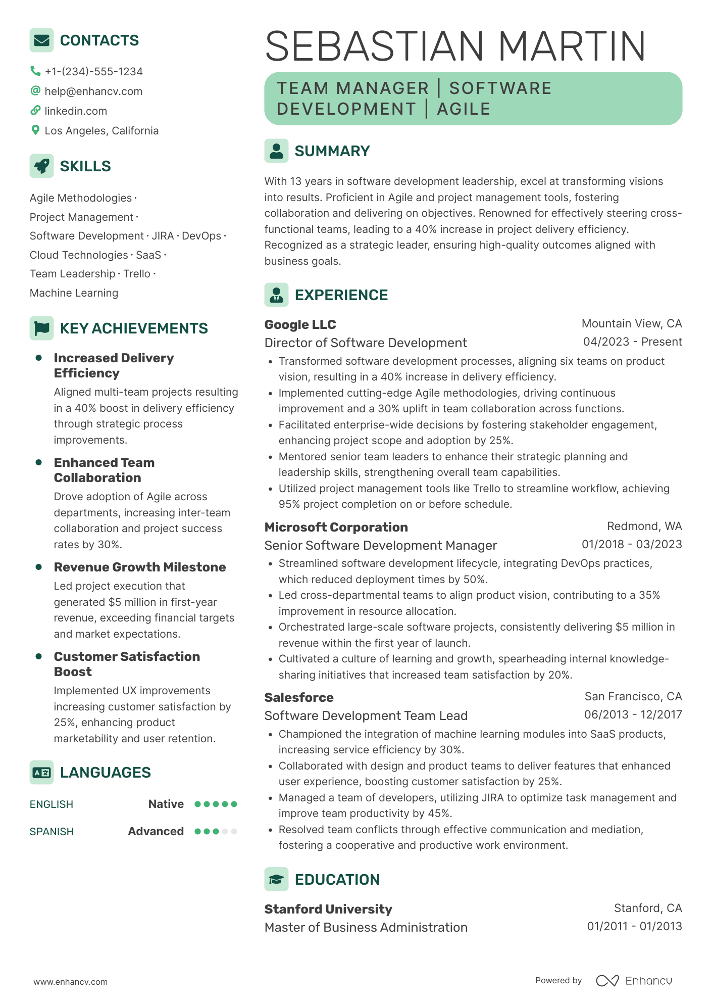 Team Manager Resume Example