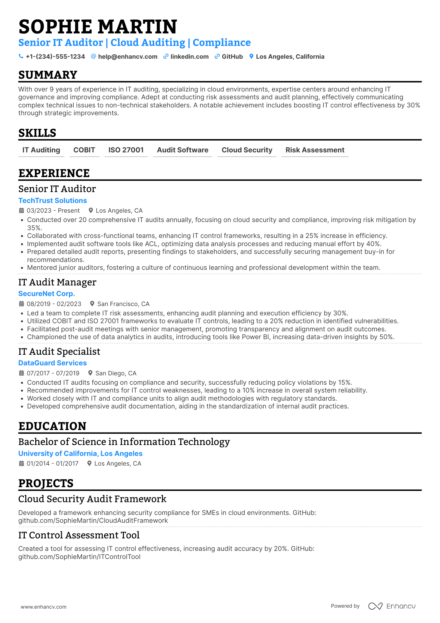 Senior IT Auditor Resume Example