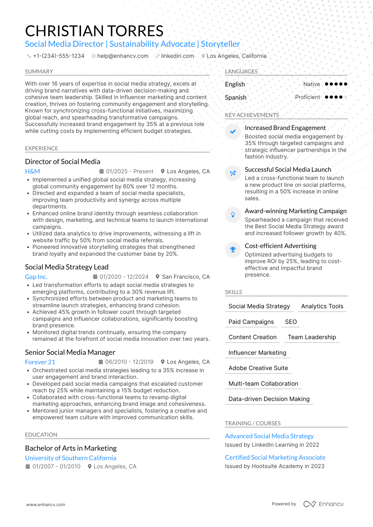 Social Media Director Resume Example