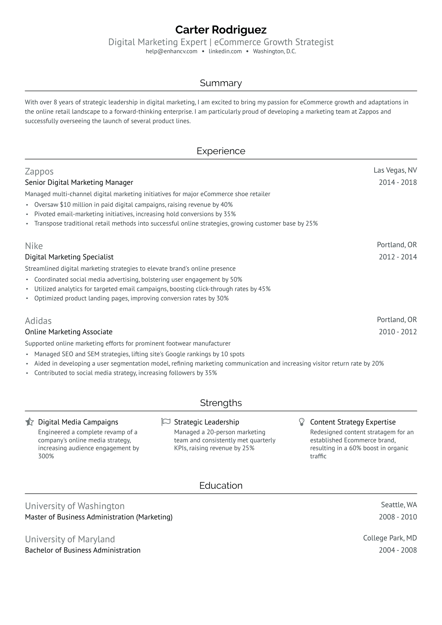 Senior Digital Marketing Manager Resume Example