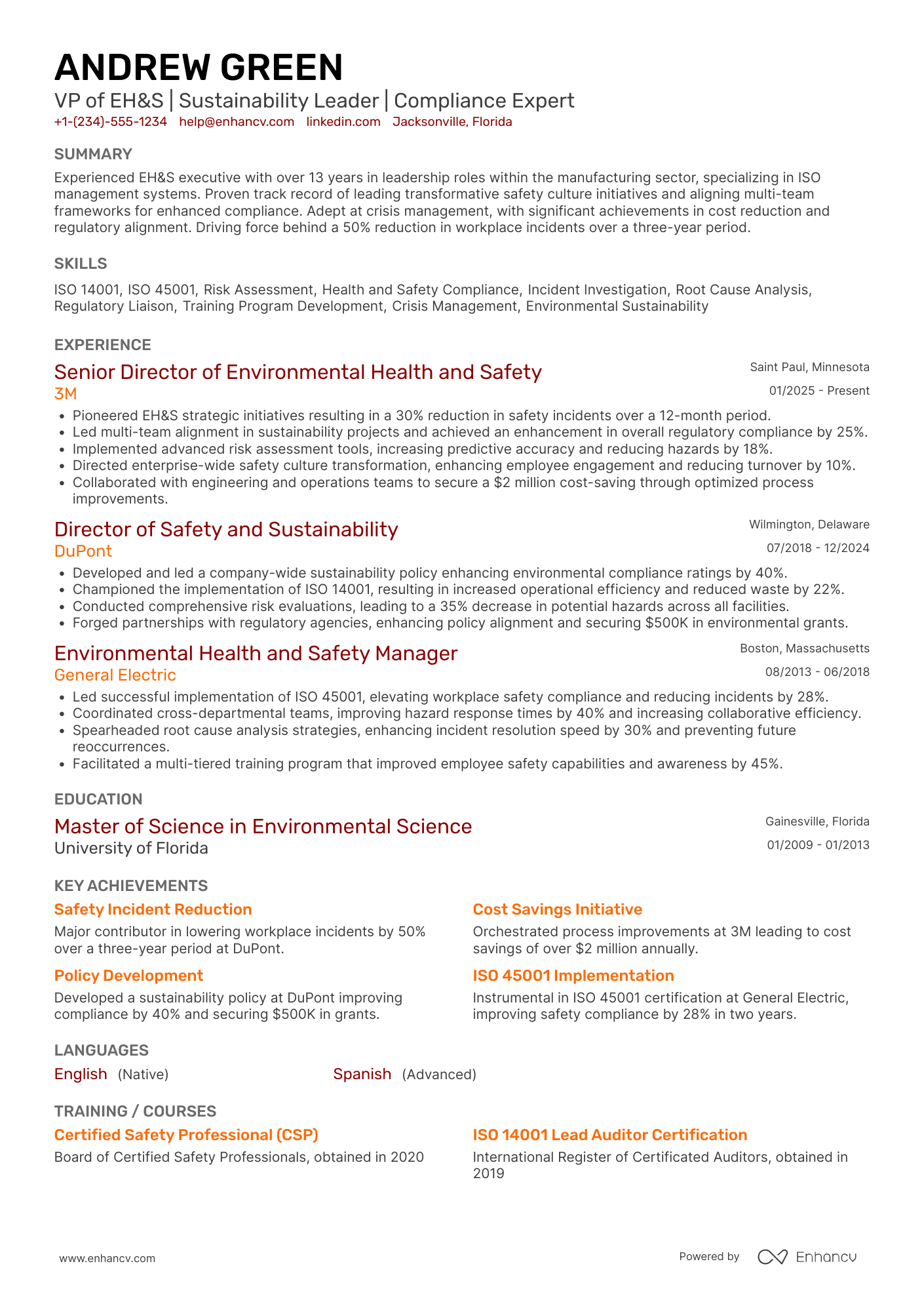 Vice President of Environmental, Health, and Safety Resume Example