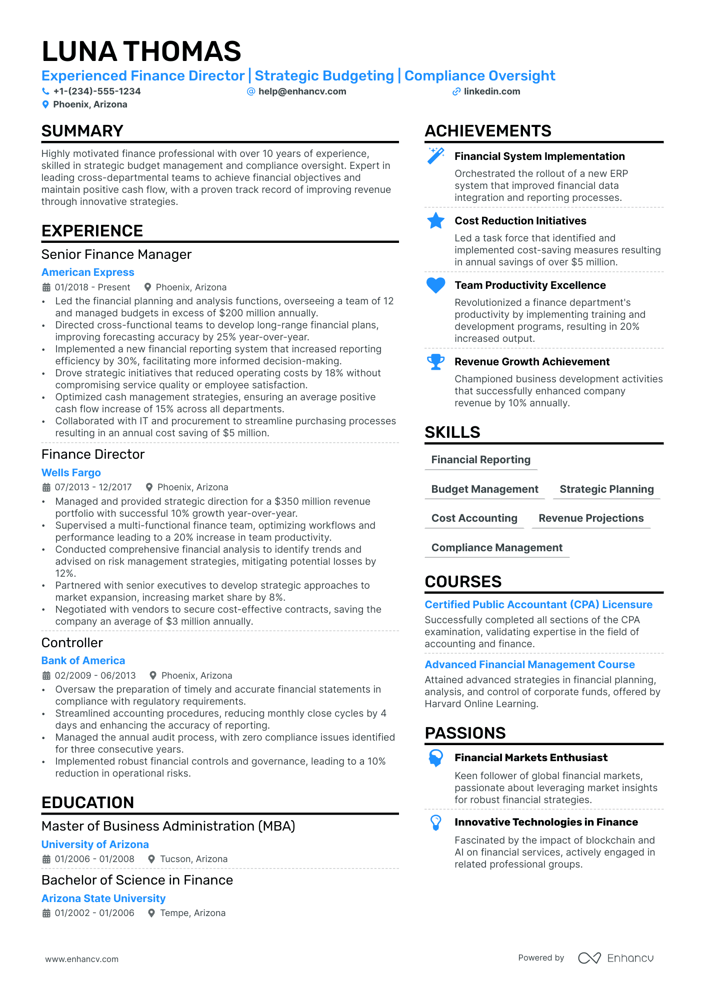 Director of Finance Resume Example