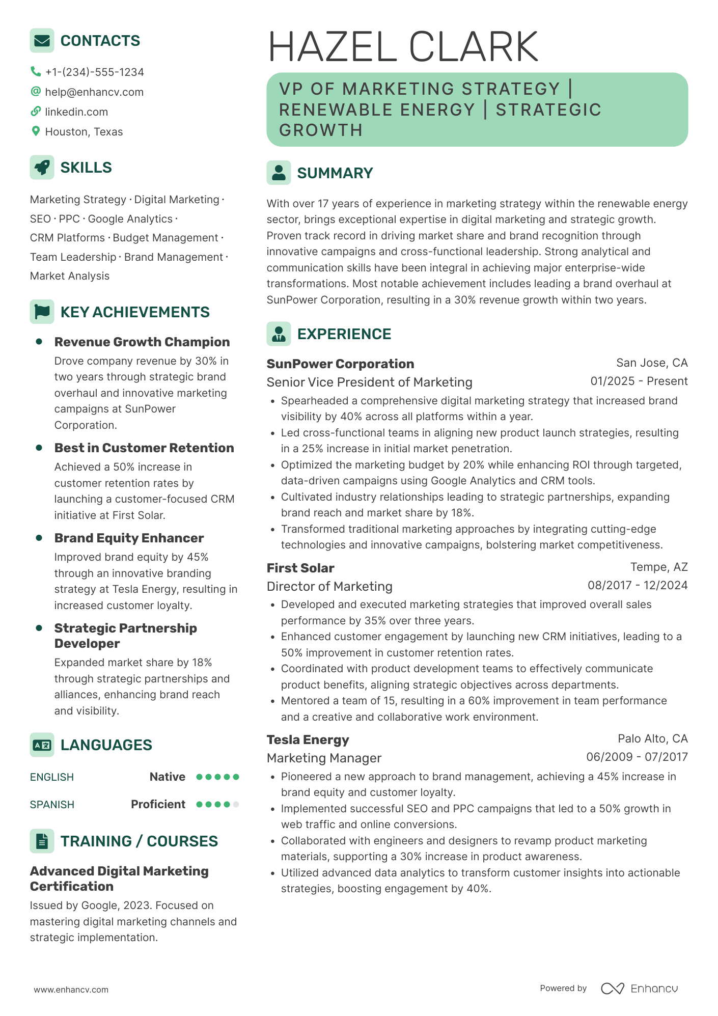 VP Marketing Strategy Resume Example