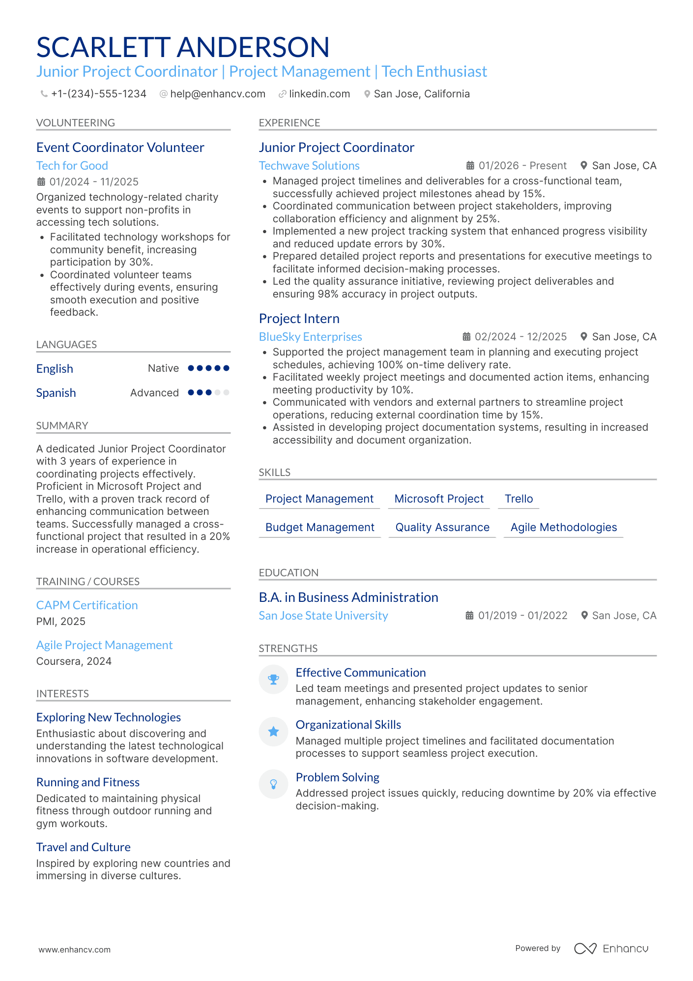 Junior Project Coordinator Resume Example