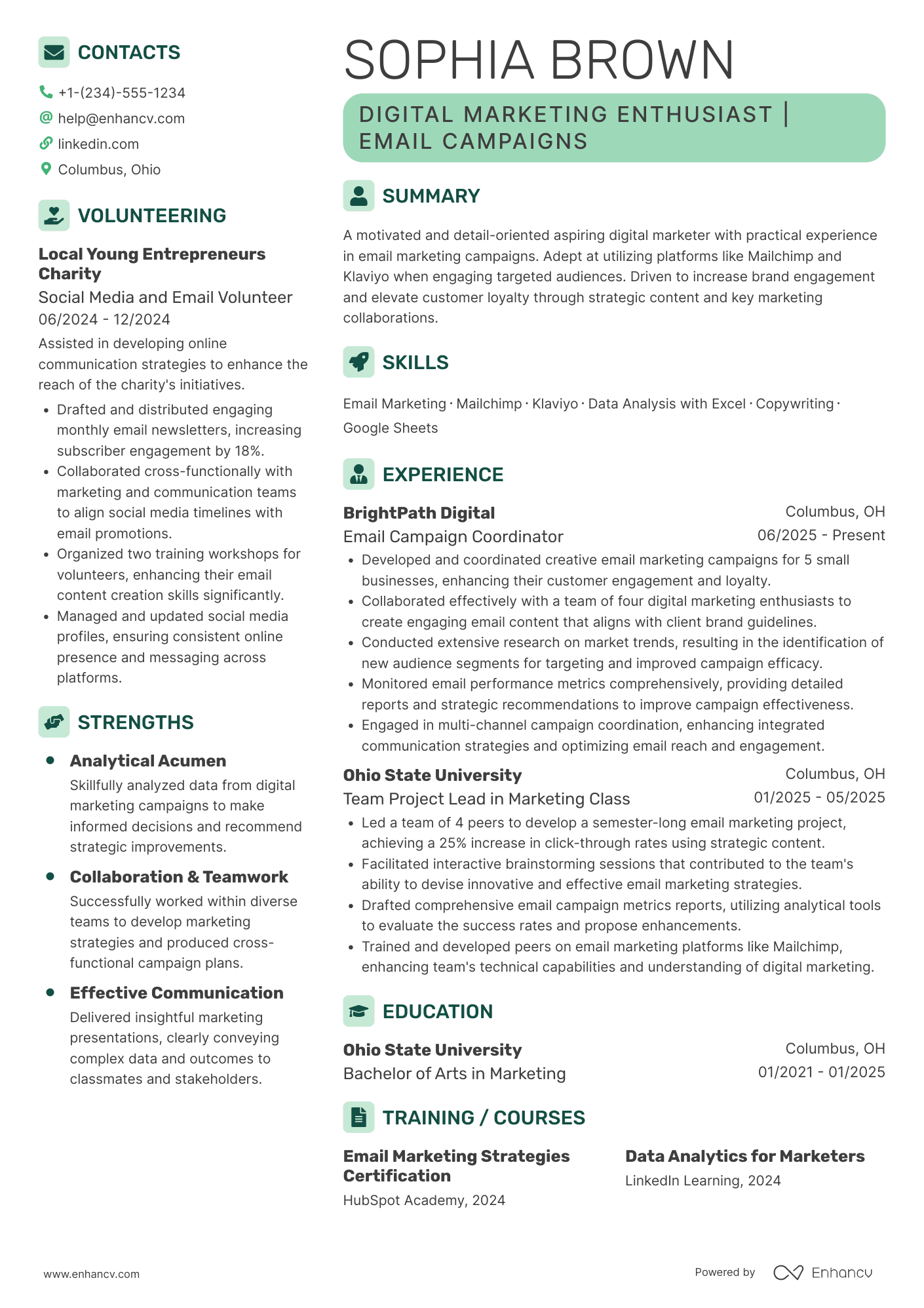 Email Marketing Intern Resume Example