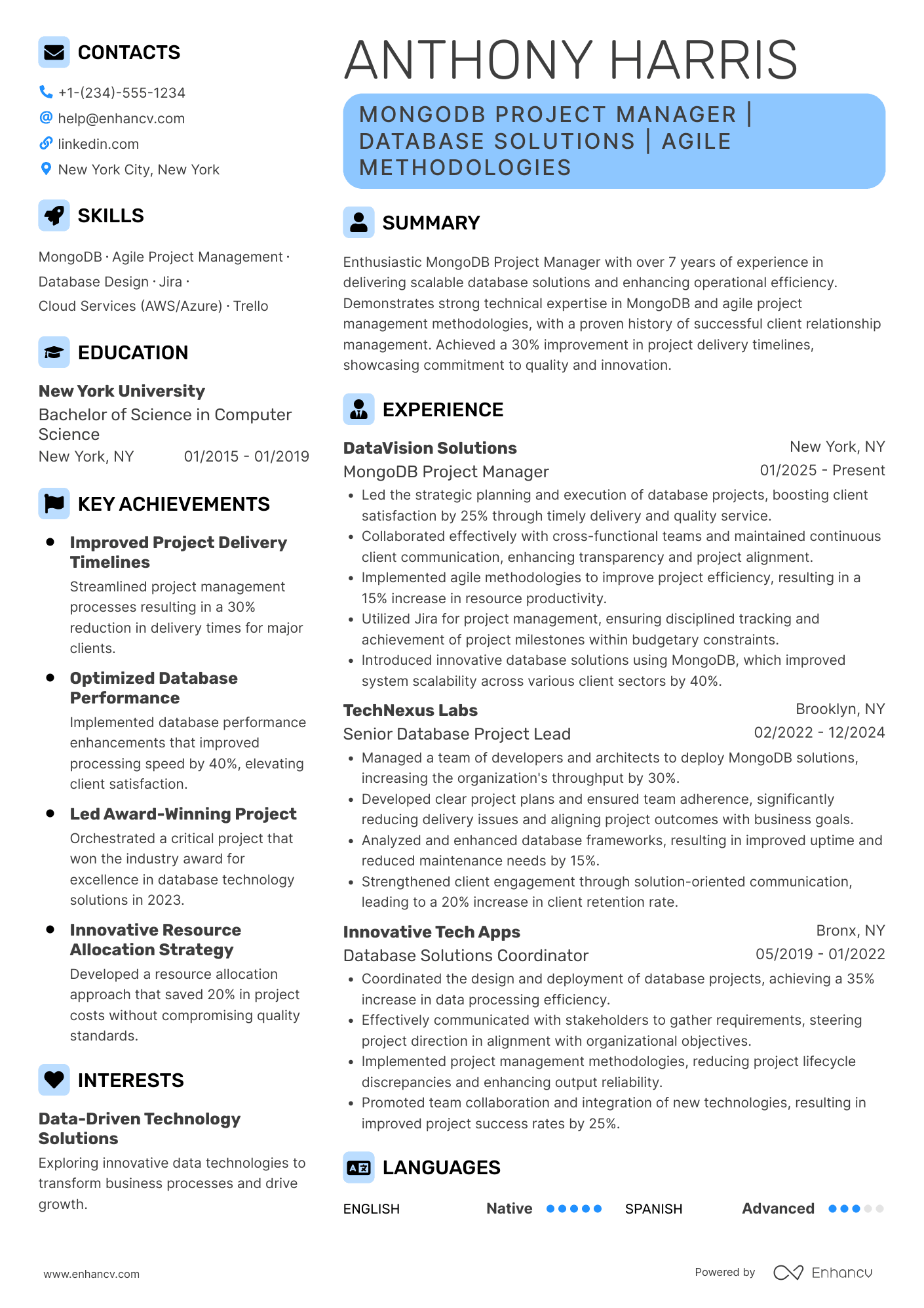 MongoDB Project Manager Resume Example