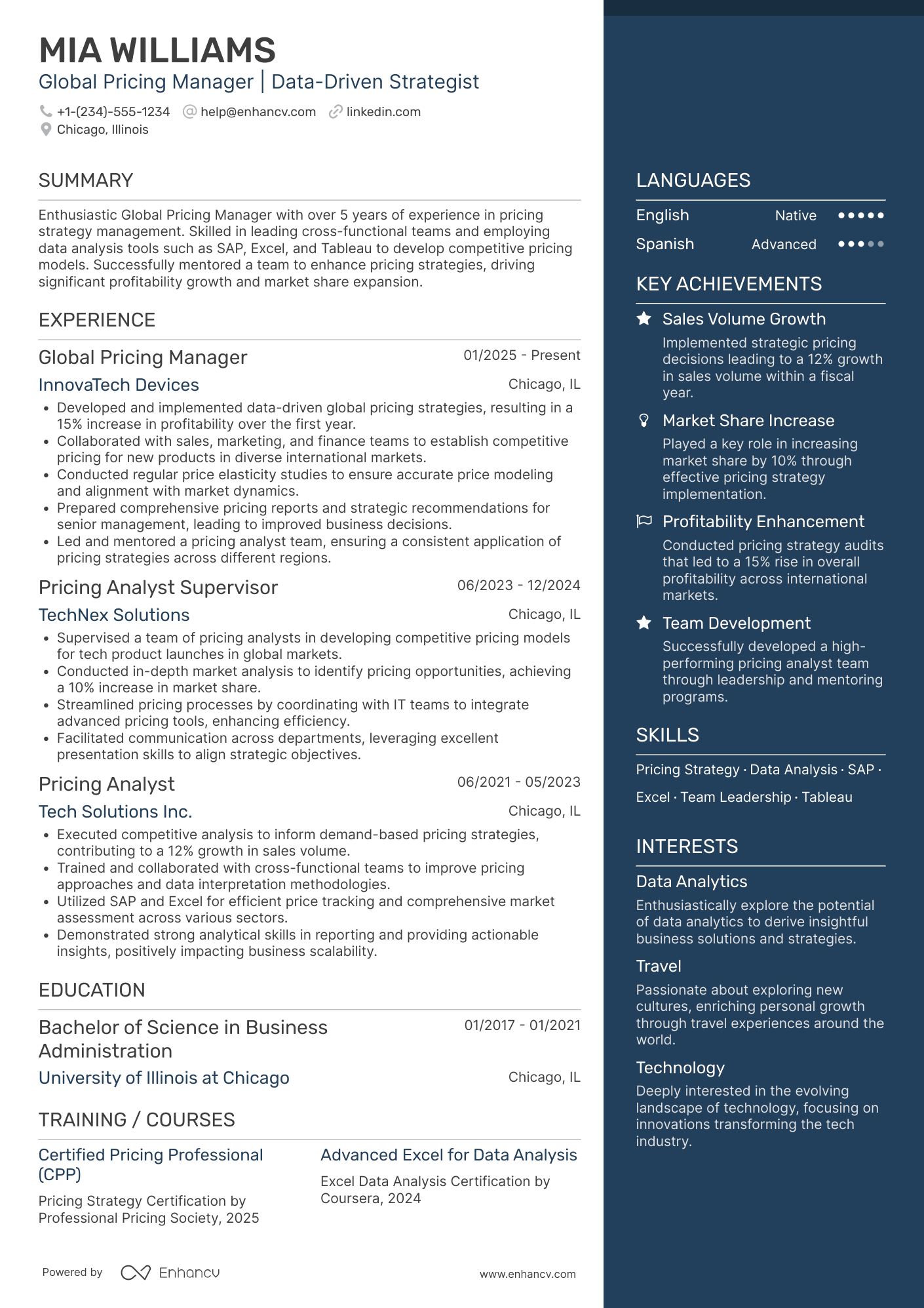 Global Pricing Manager Resume Example