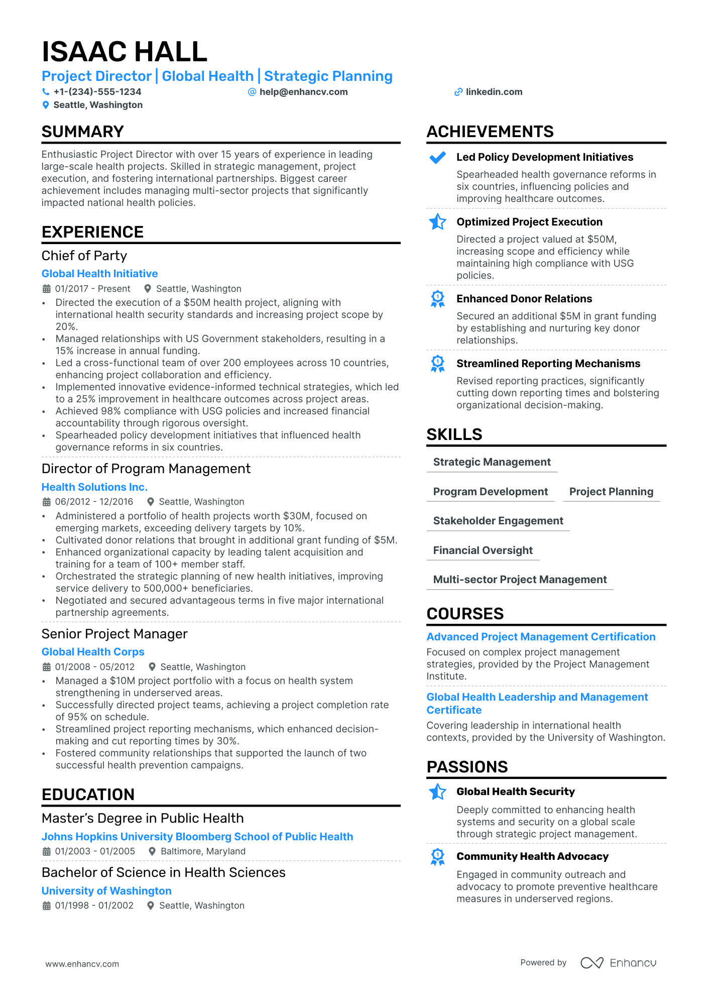 Project Director Resume Example