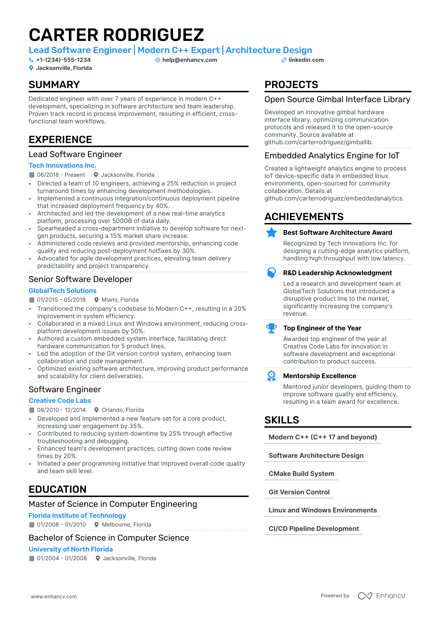 Software Team Lead Resume Example
