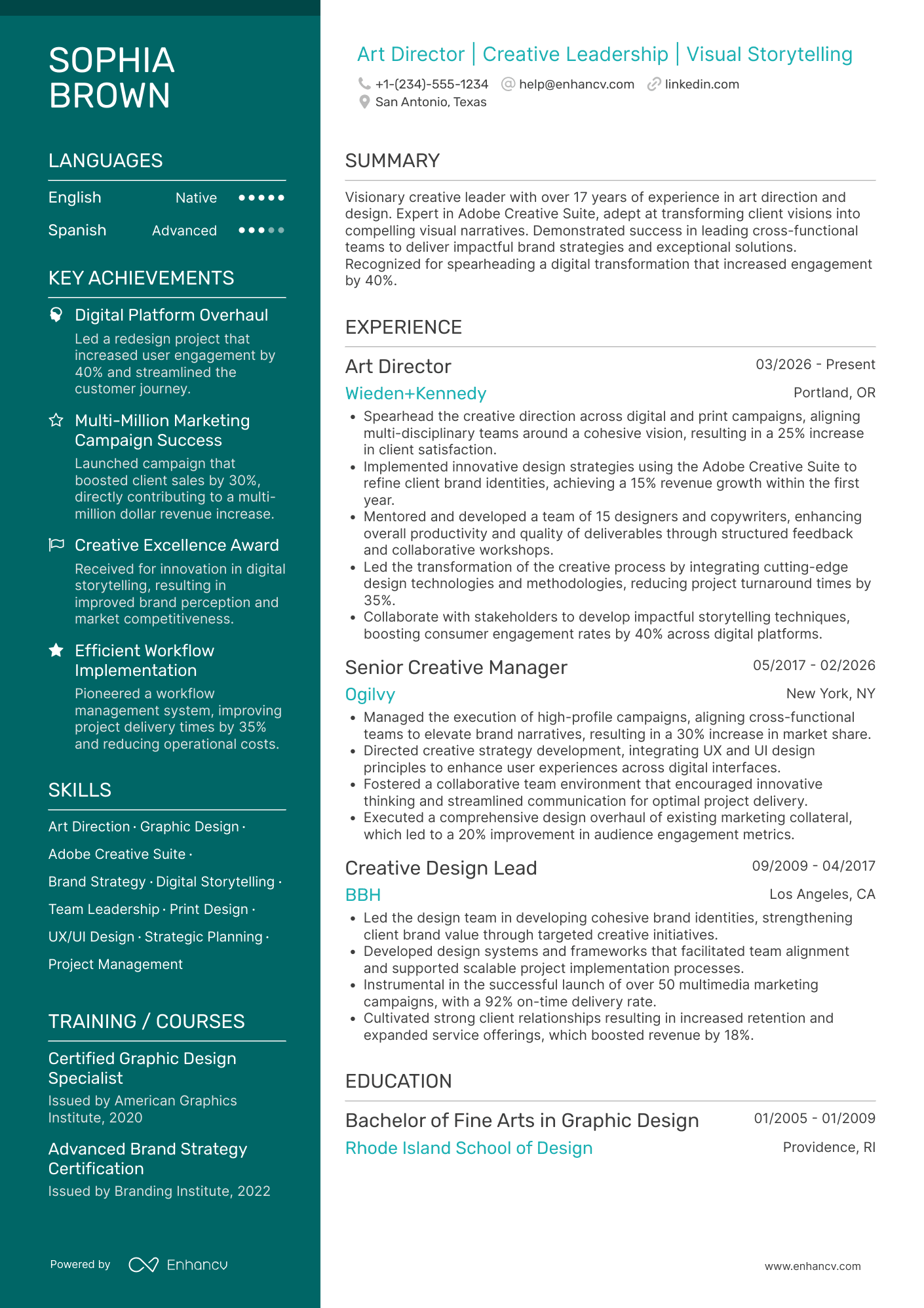 Art Director Resume Example