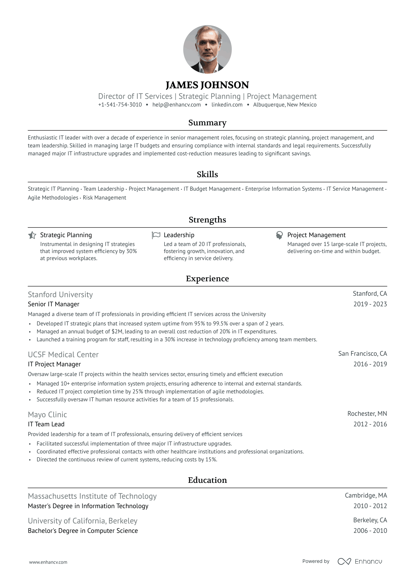 IT Director Resume Example