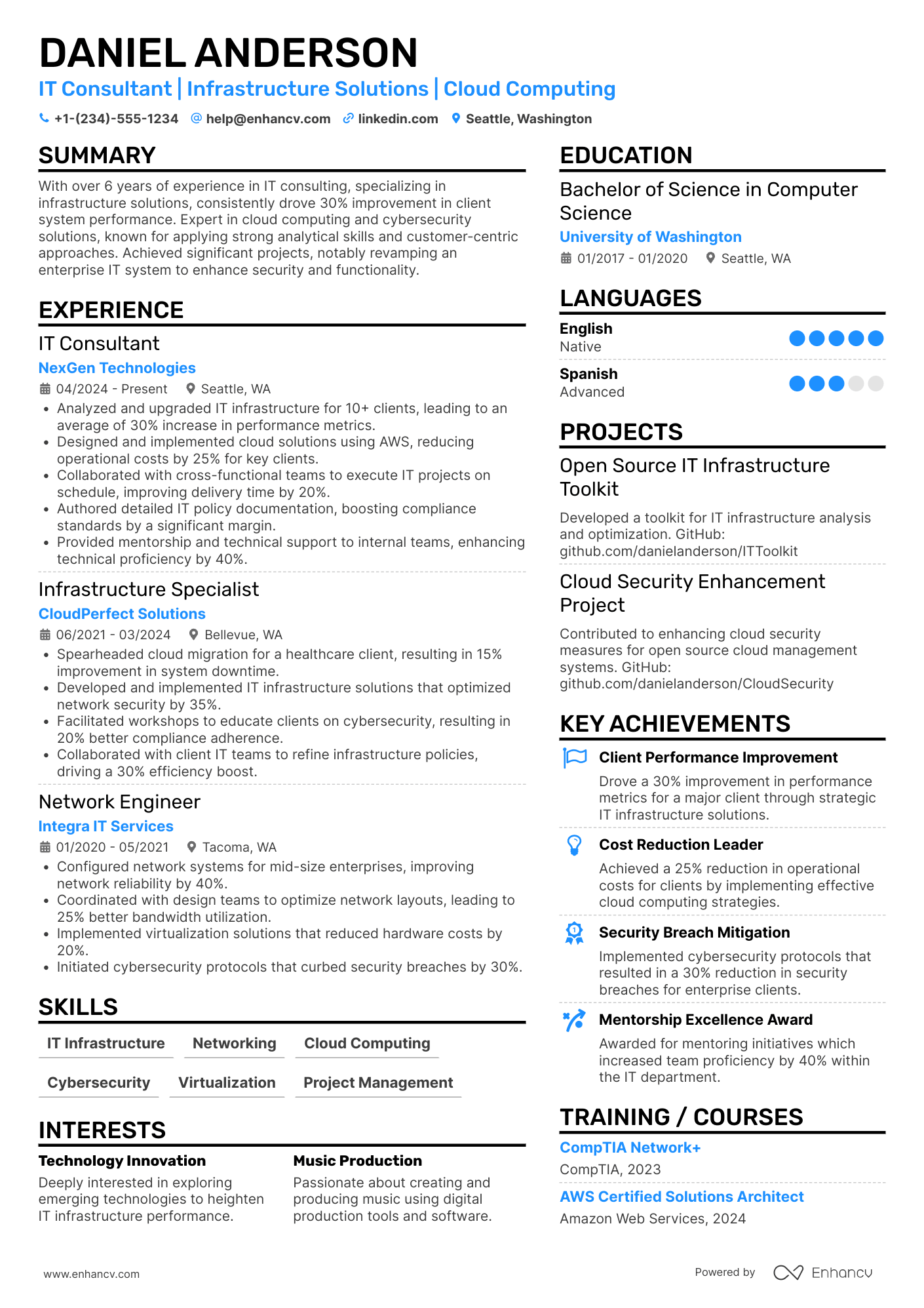Work from Home IT Consultant Resume Example
