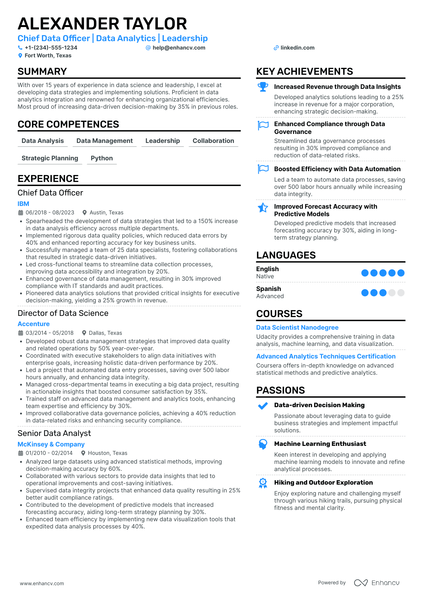 Chief Data Officer for Financial Services Resume Example