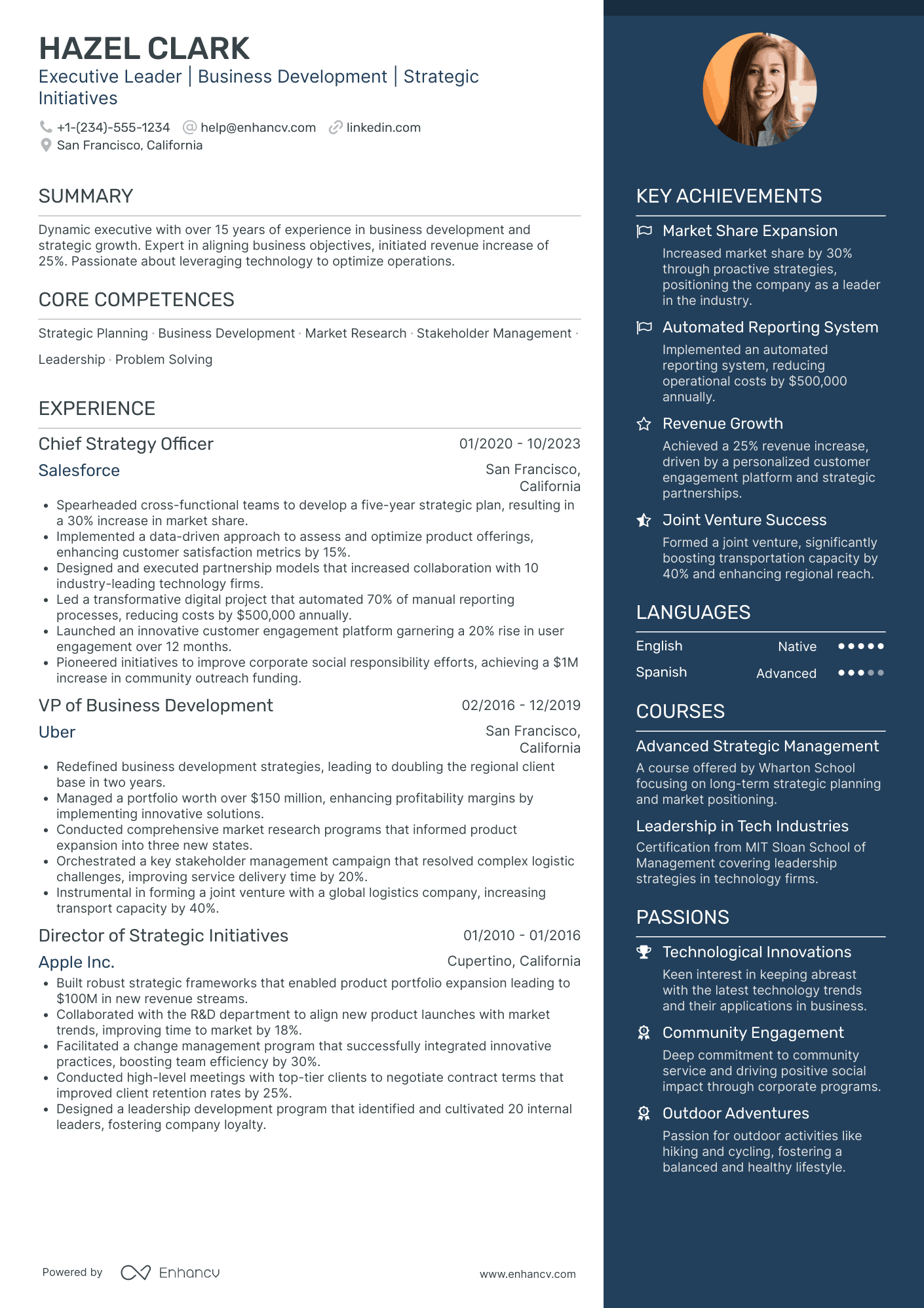 Chief Information Officer in Mining and Resources Resume Example