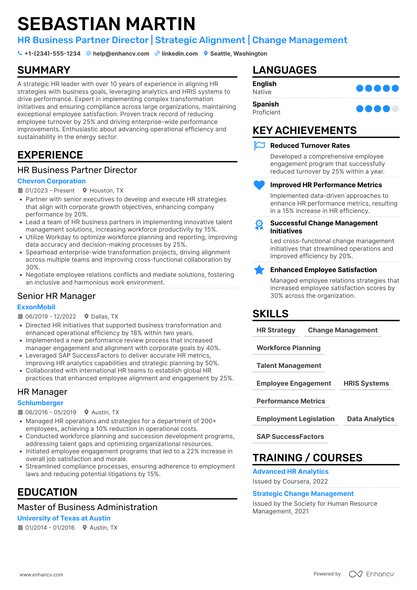 HR Business Partner Director Resume Example
