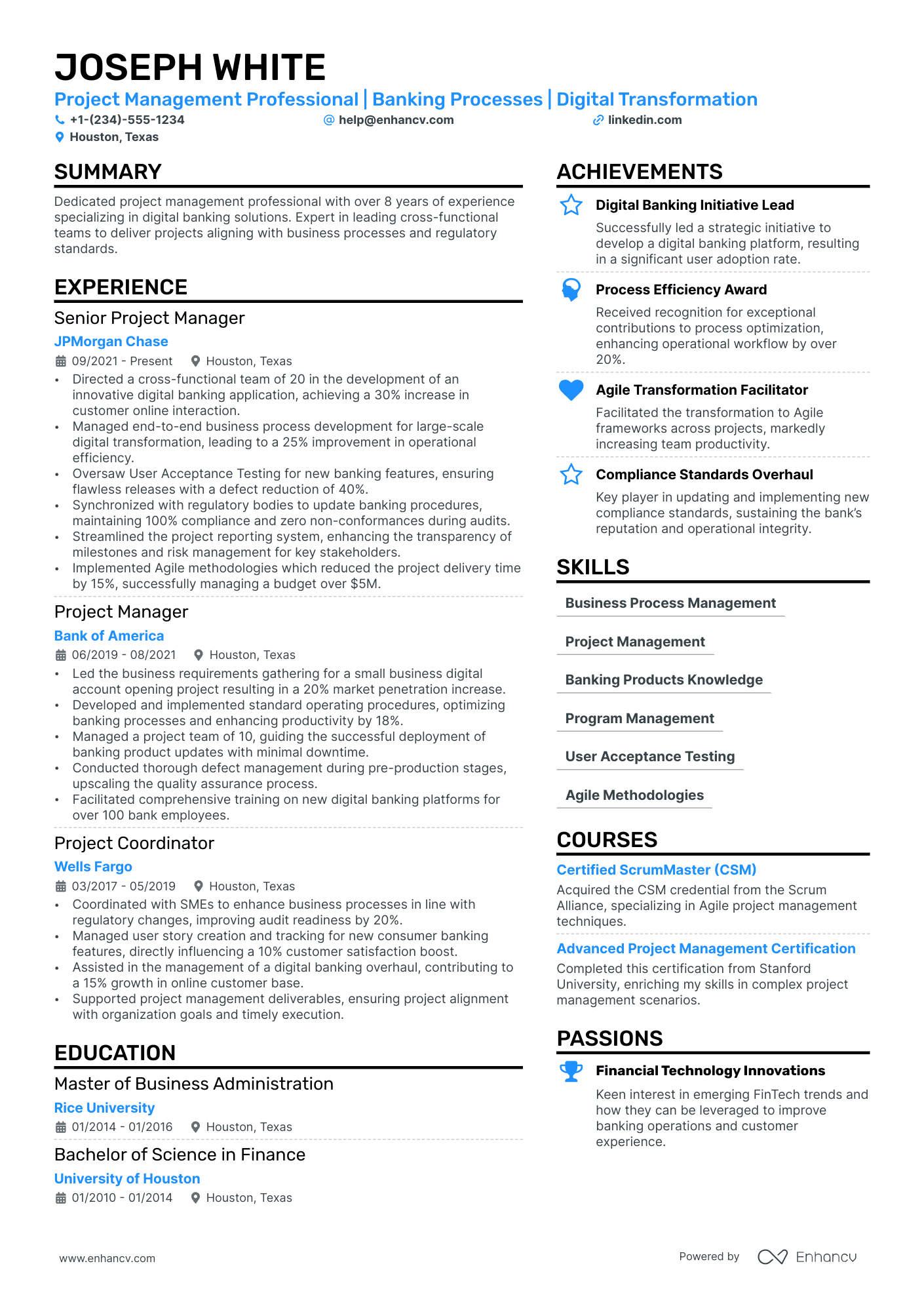 Business Process Manager Resume Example