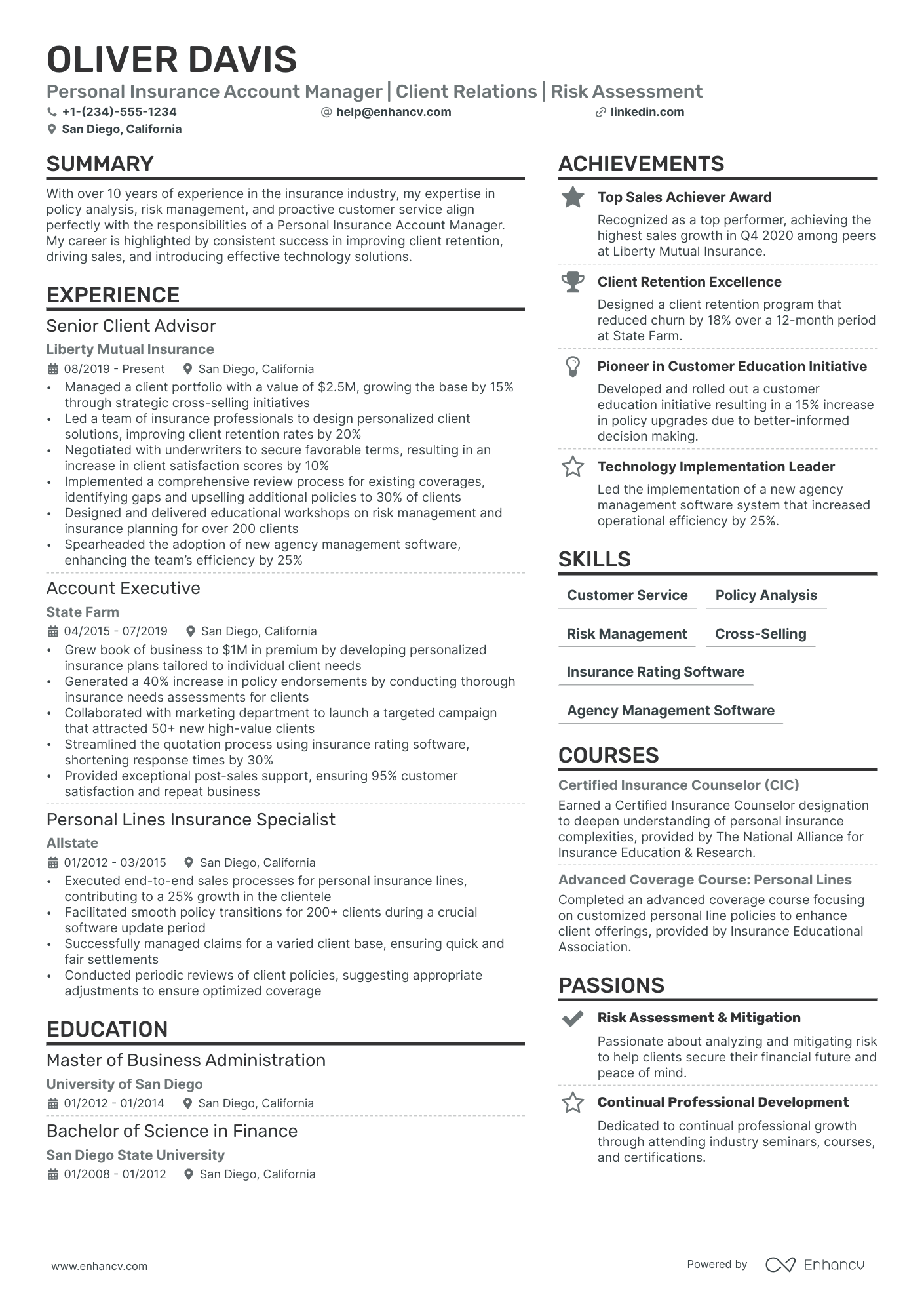 Insurance Account Manager Resume Example