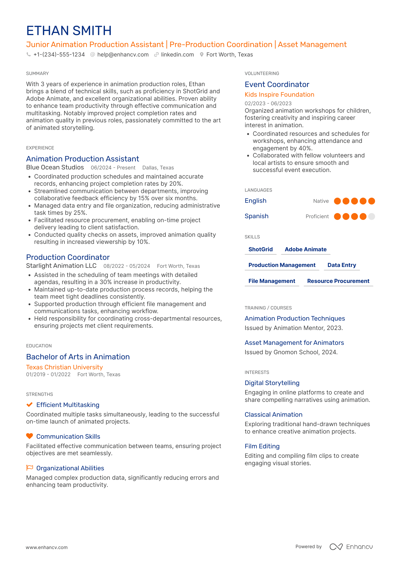 Animation Production Assistant Resume Example