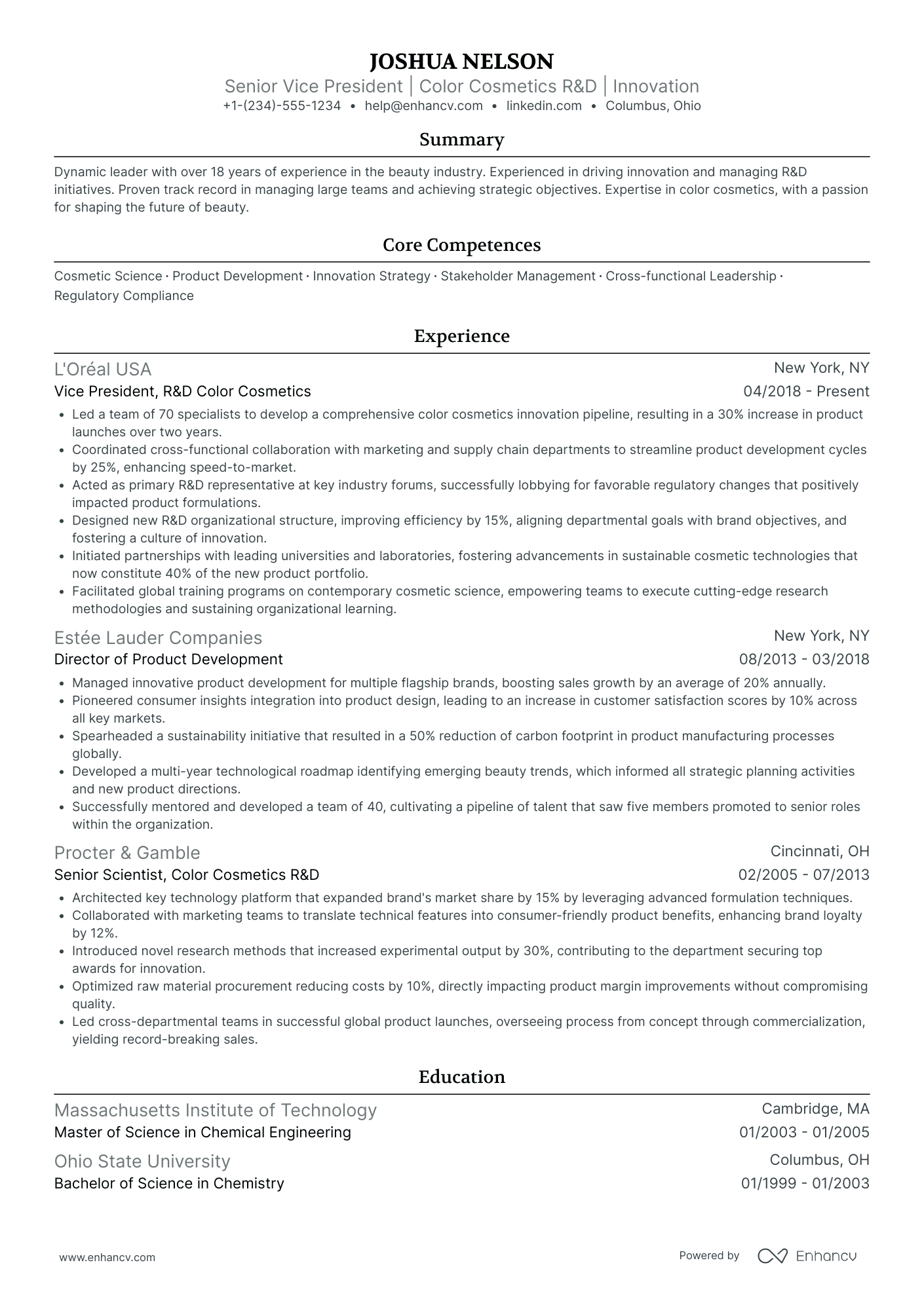 Global Chief Innovation Officer Resume Example