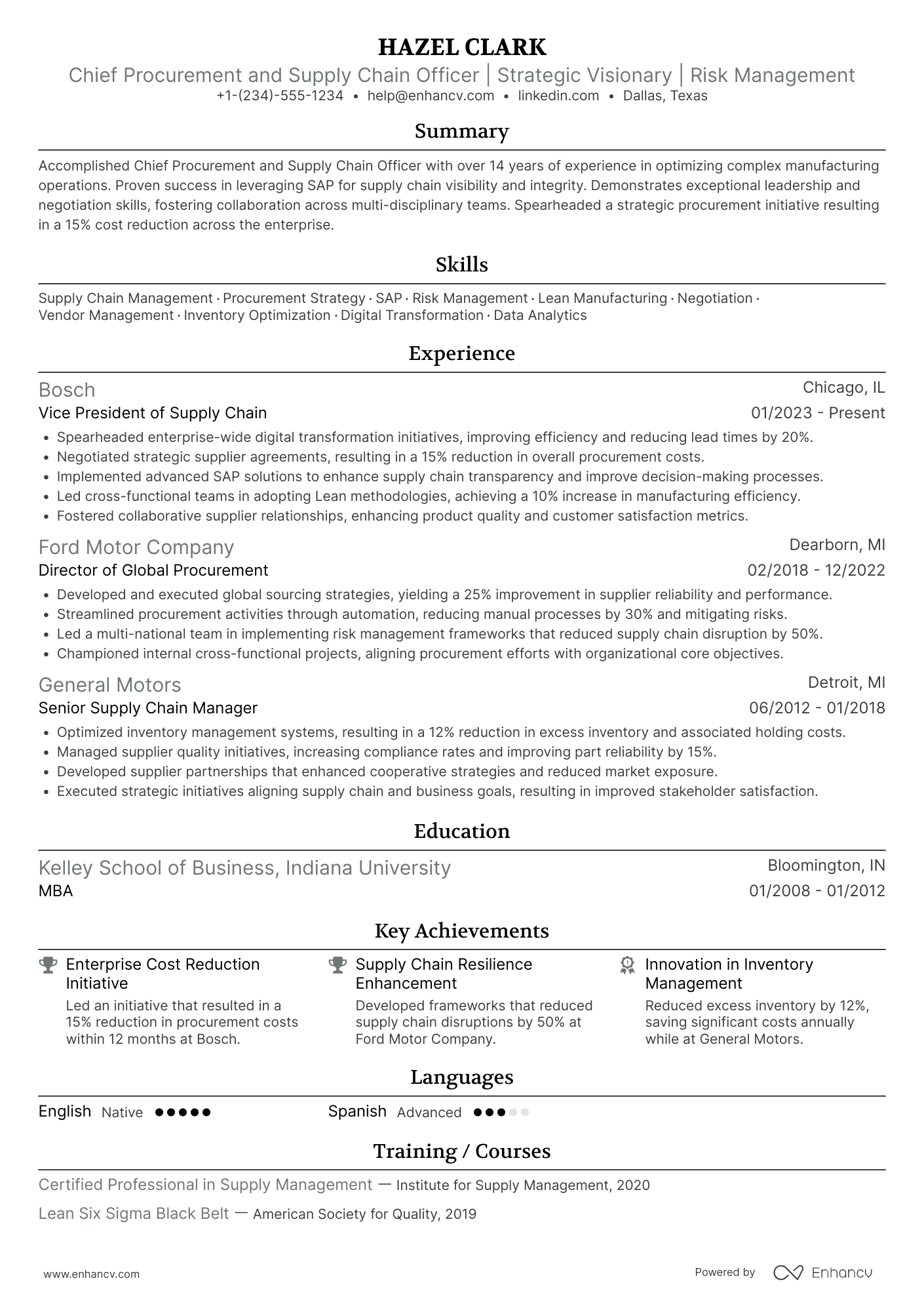 Chief Procurement and Supply Chain Officer Resume Example