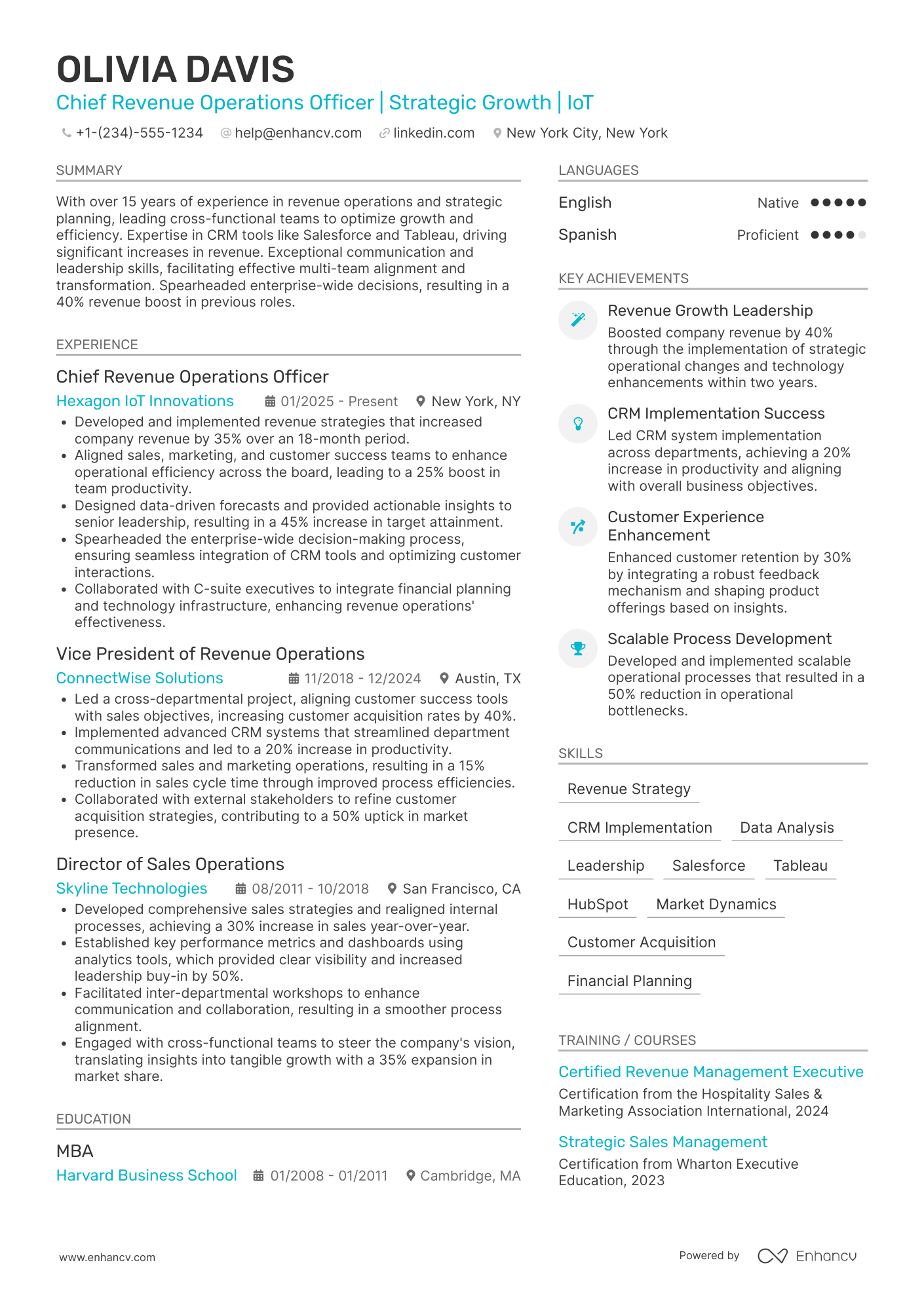 Chief Revenue Operations Officer Resume Example