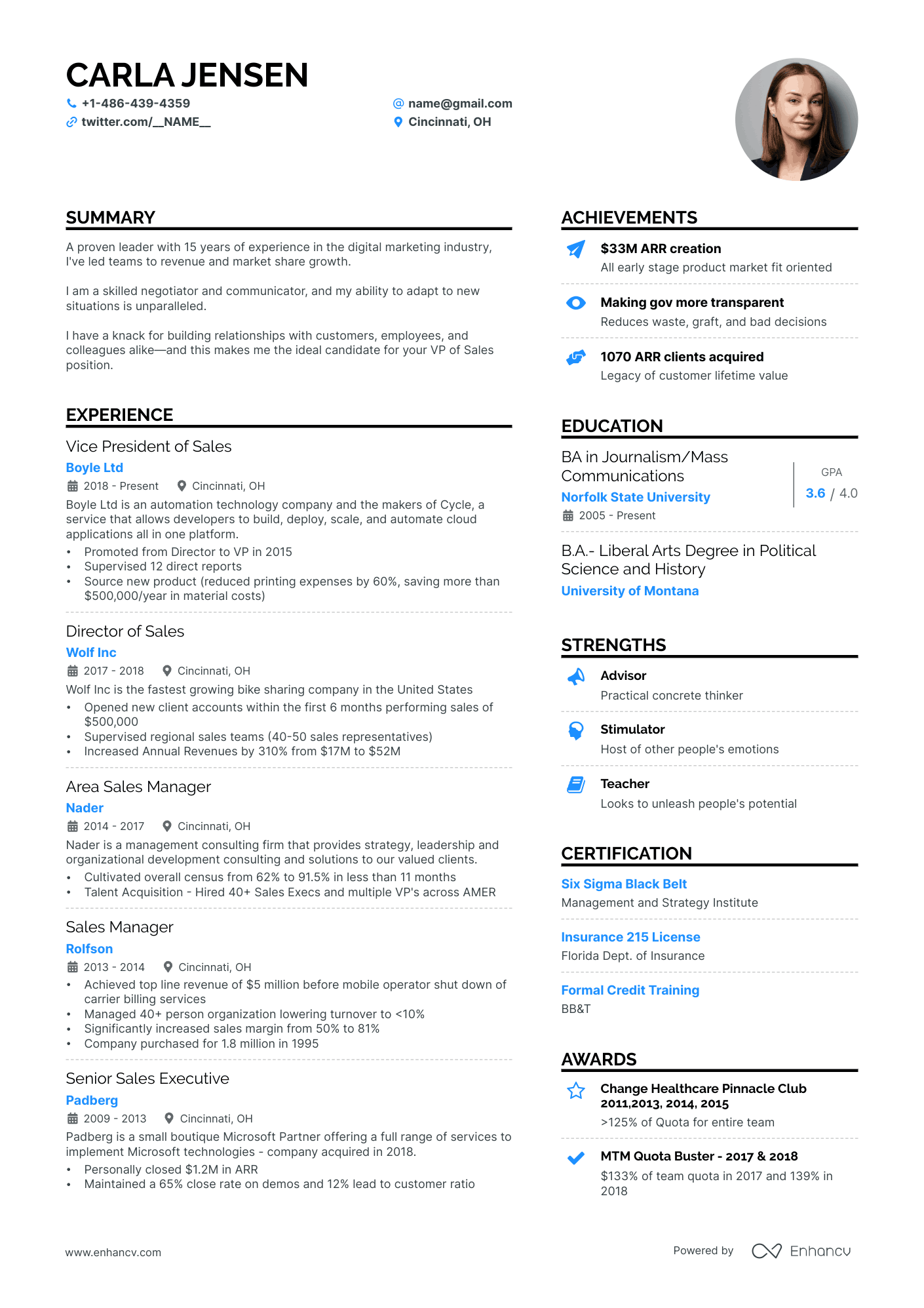 VP of Sales Resume Example