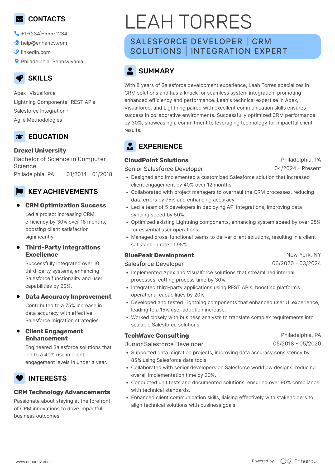 Salesforce Developer Contractor Resume Example