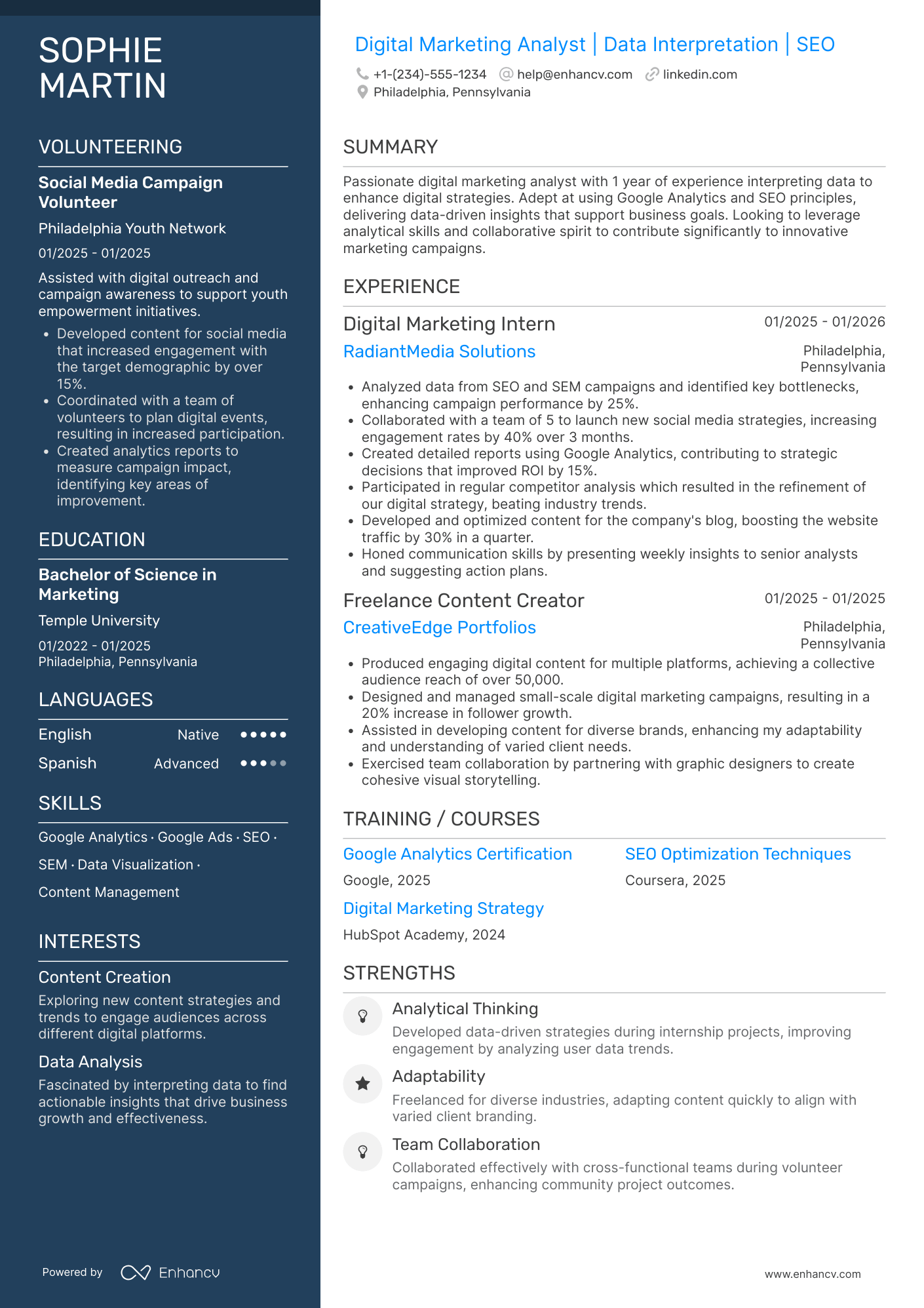 Entry Level Digital Marketing Analyst Resume Example