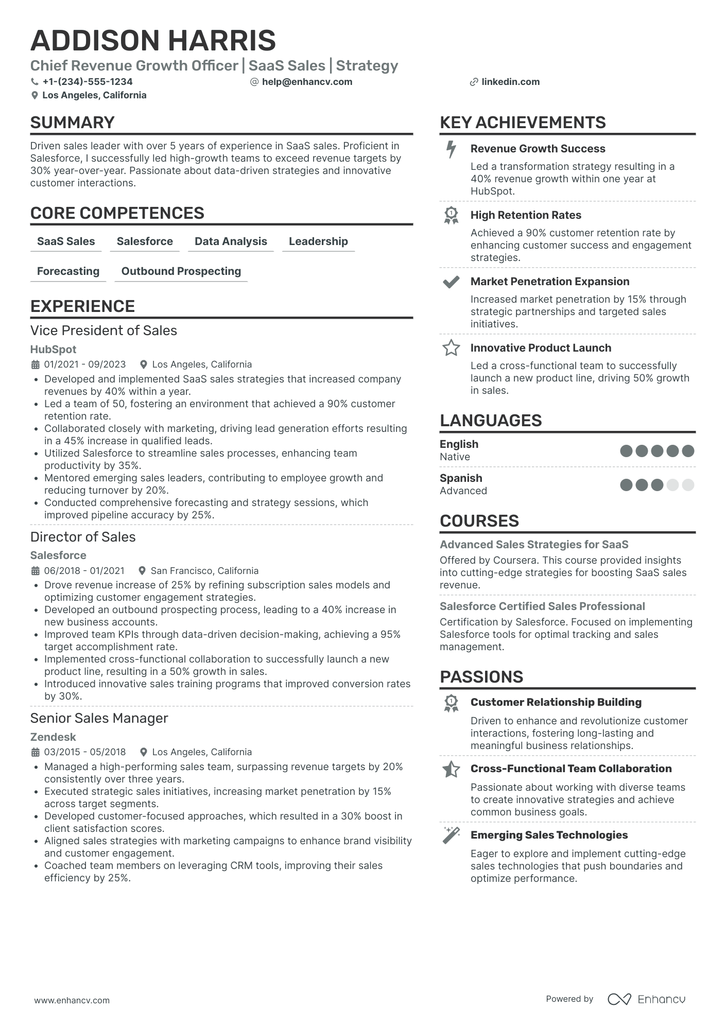 Chief Revenue Growth Officer Resume Example