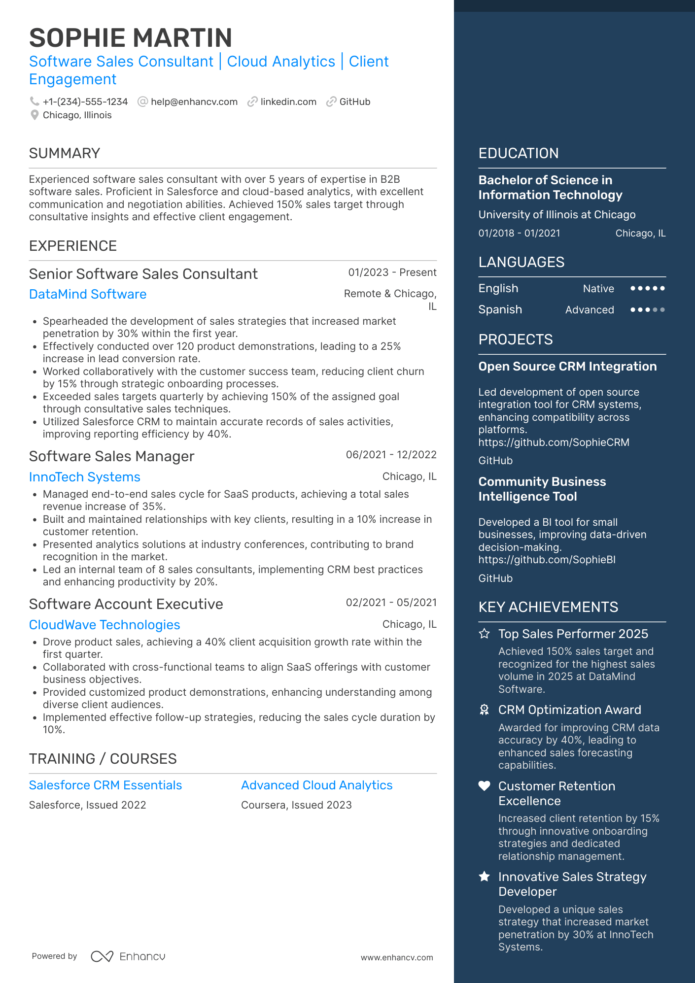 Software Sales Consultant Resume Example