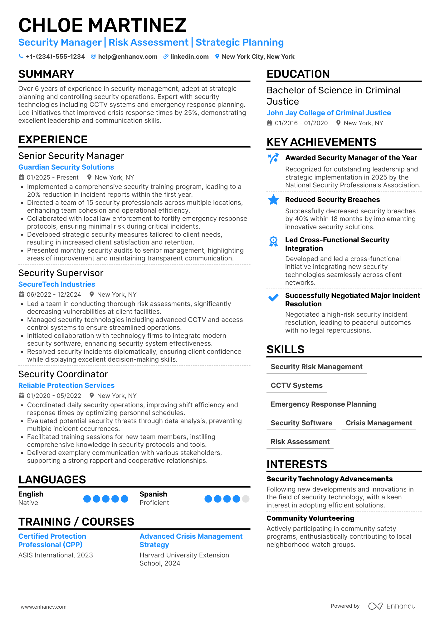 Executive Security Officer Resume Example