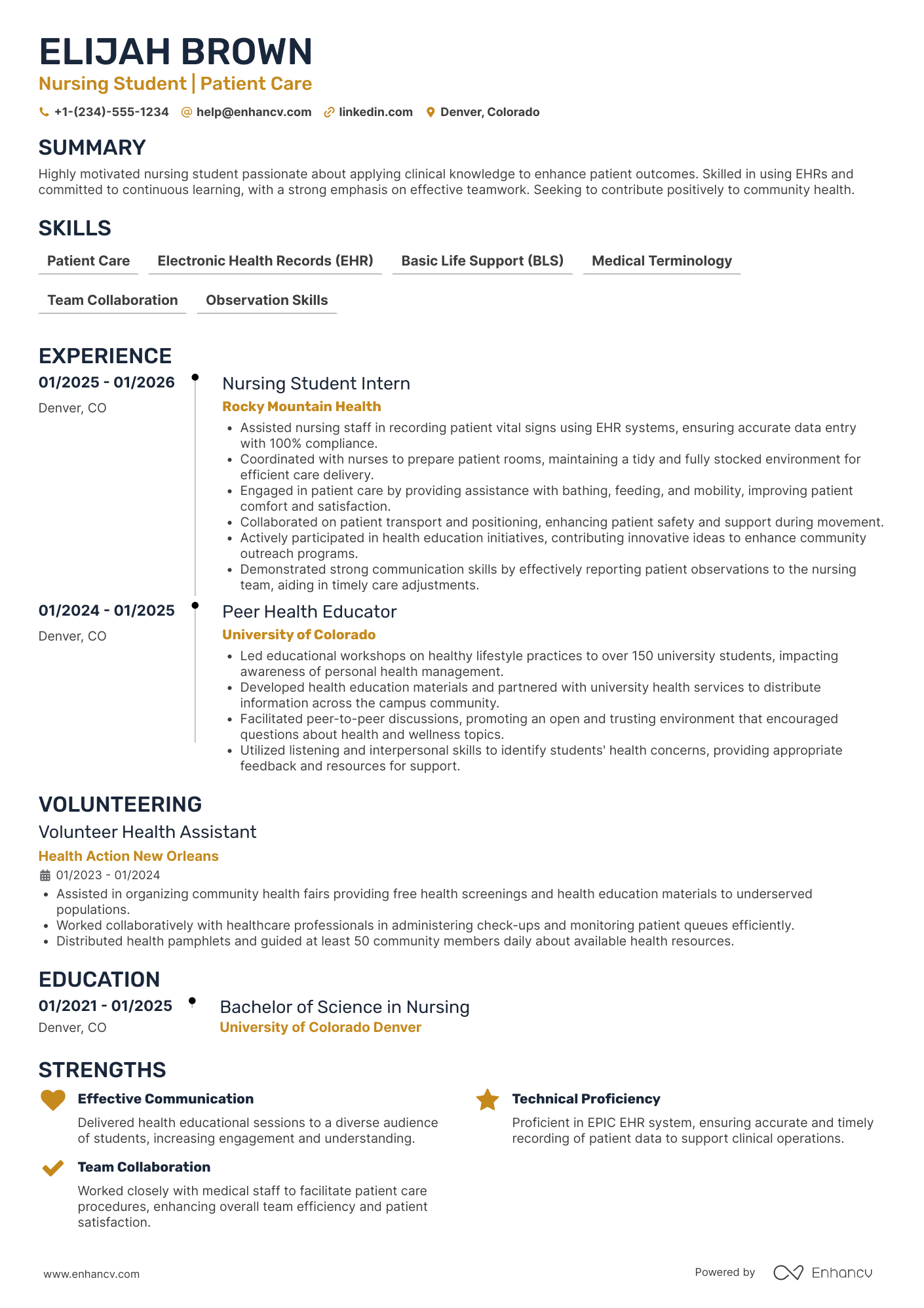 Nursing Student Volunteer Resume Example