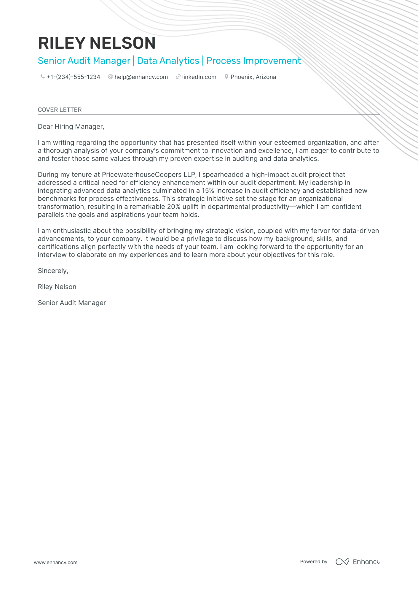 Internal Audit Manager Resume Example