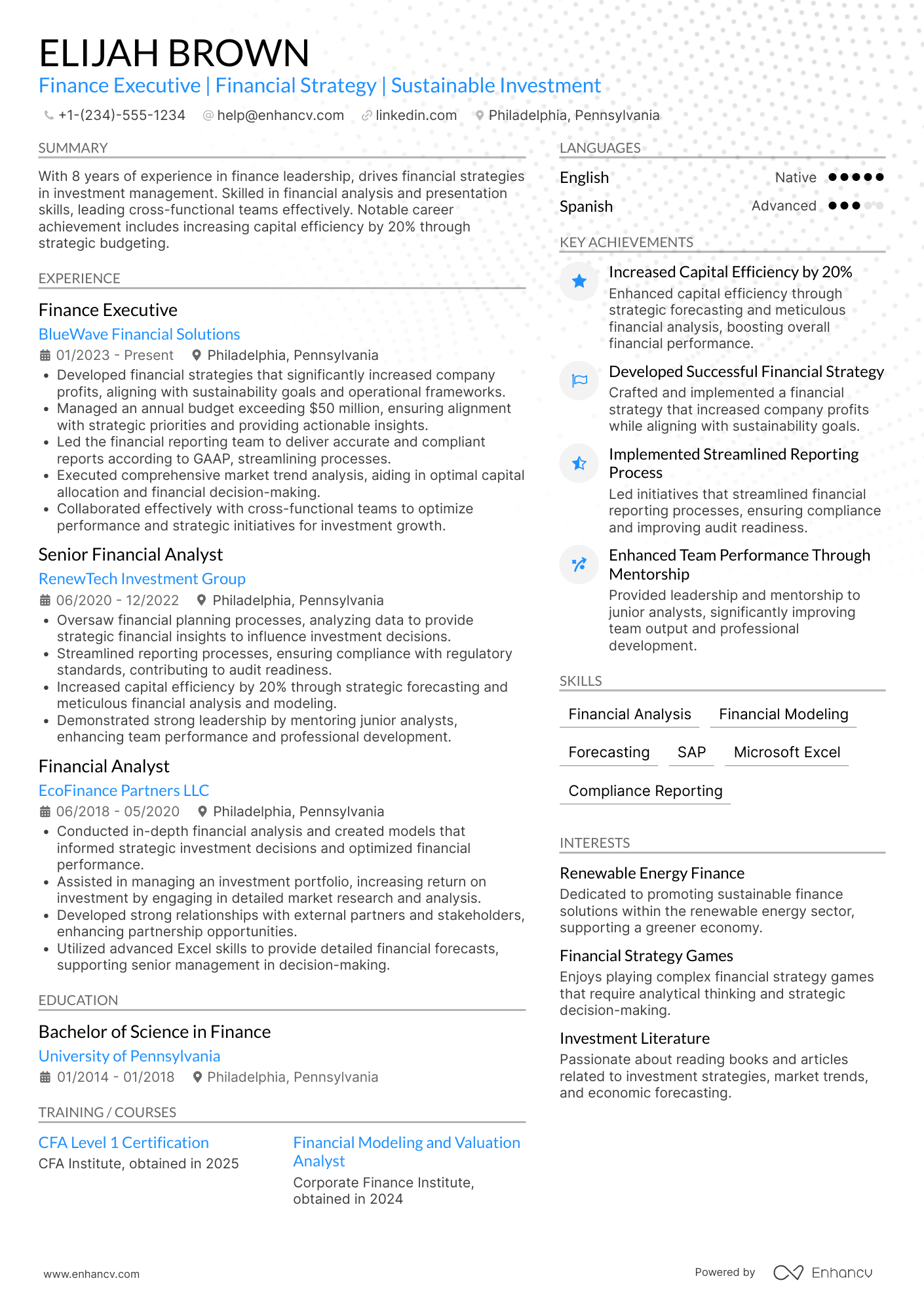 Finance Executive Resume Example