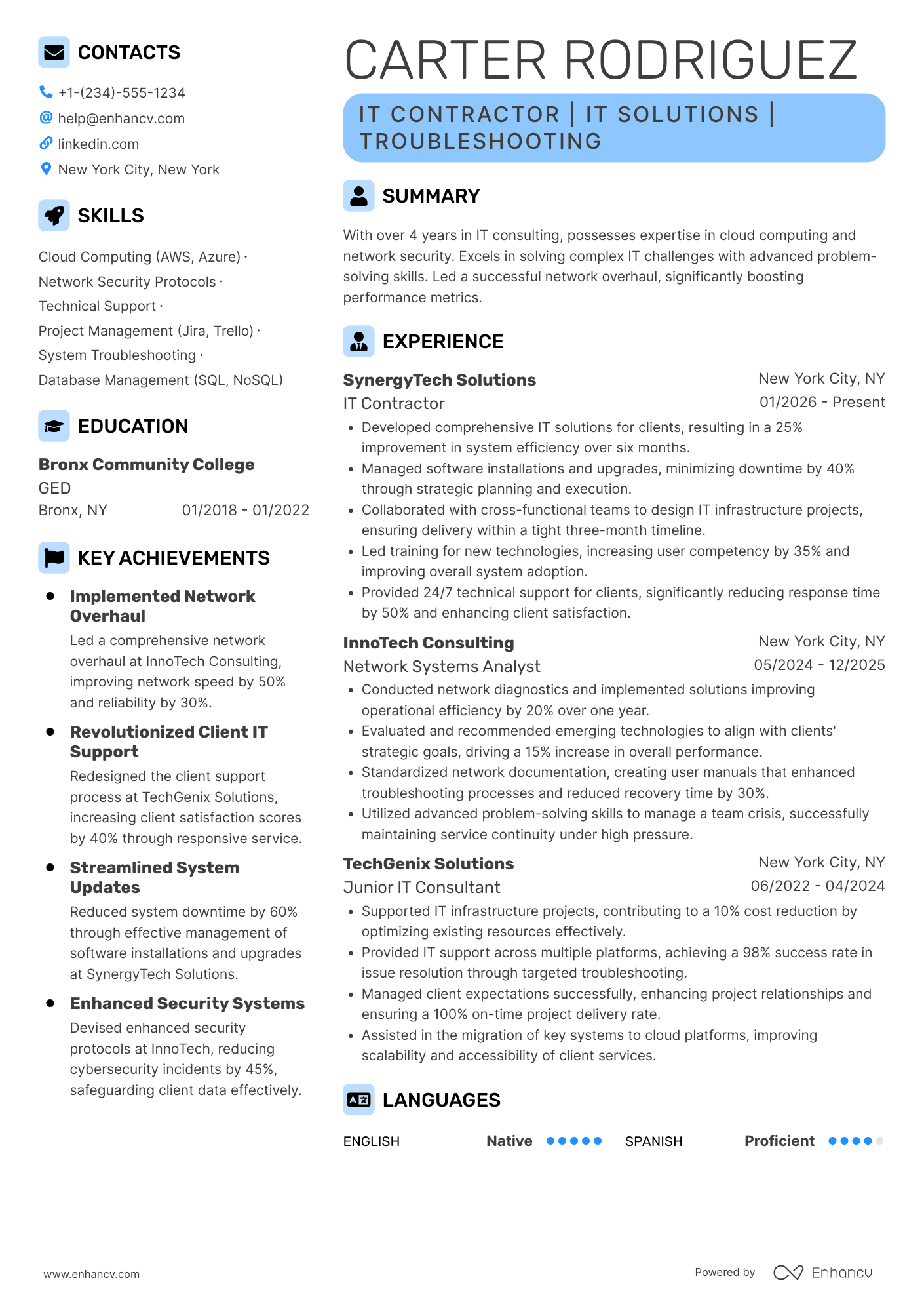 IT Contractor Resume Example
