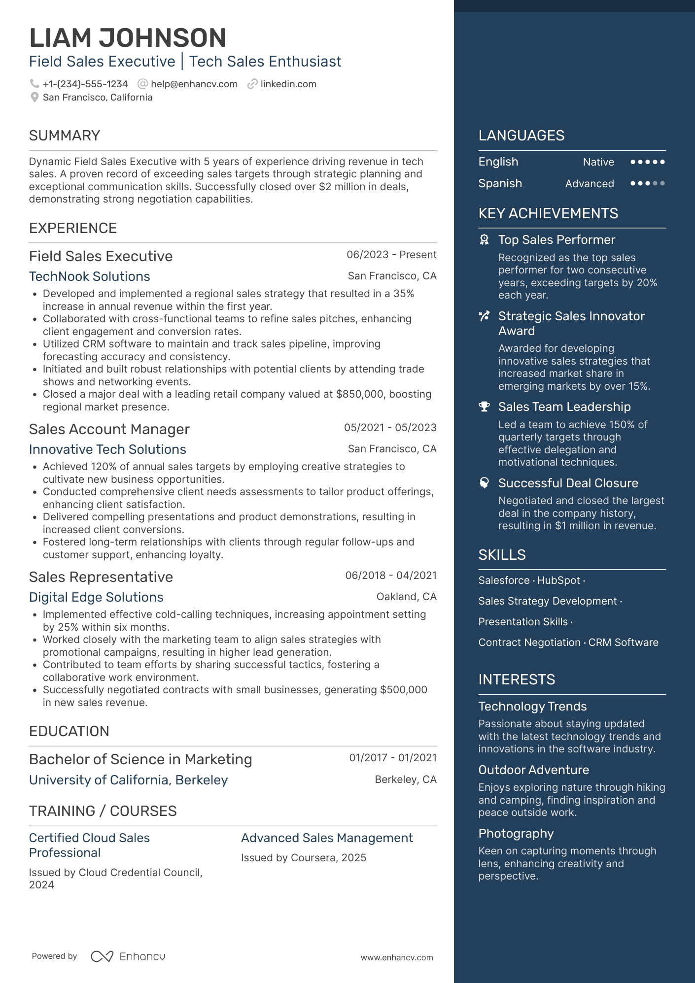 Field Sales Executive Resume Example
