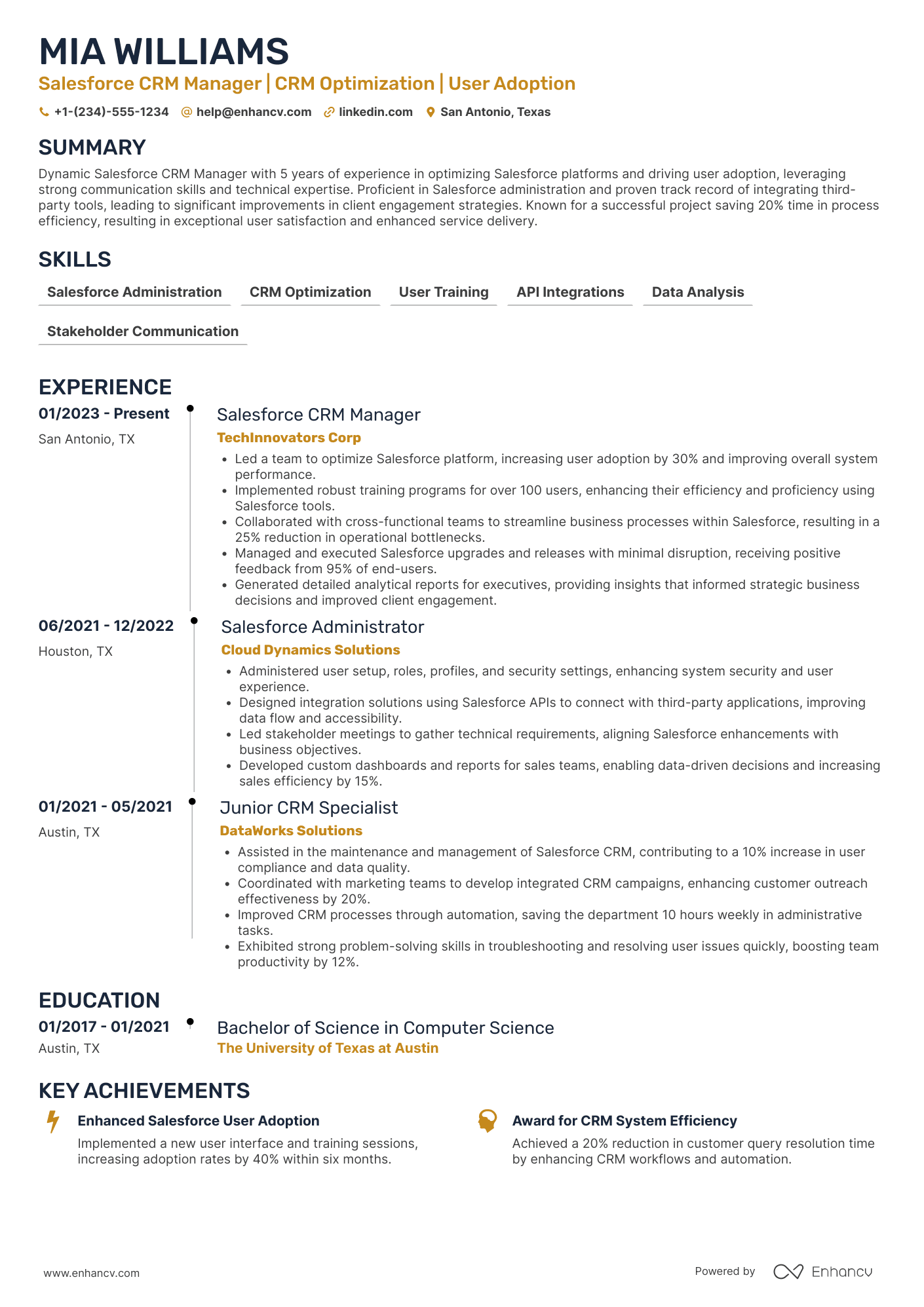 Salesforce CRM Manager Resume Example