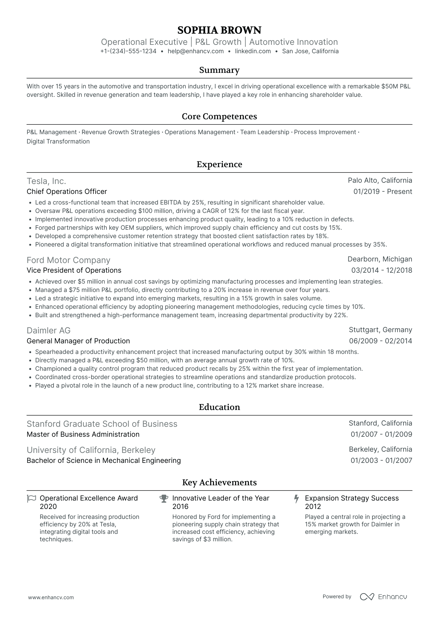 Chief Information Officer in Automotive Resume Example