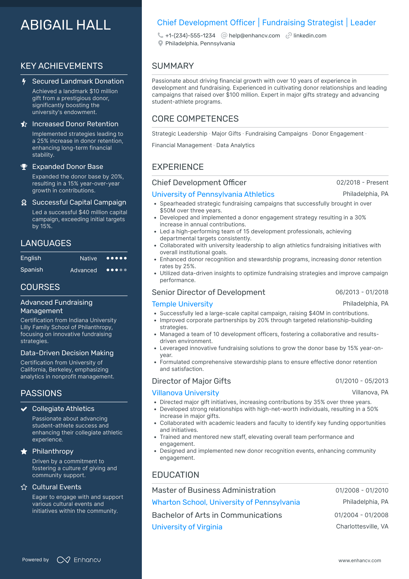 Chief Development Officer in Technology Resume Example
