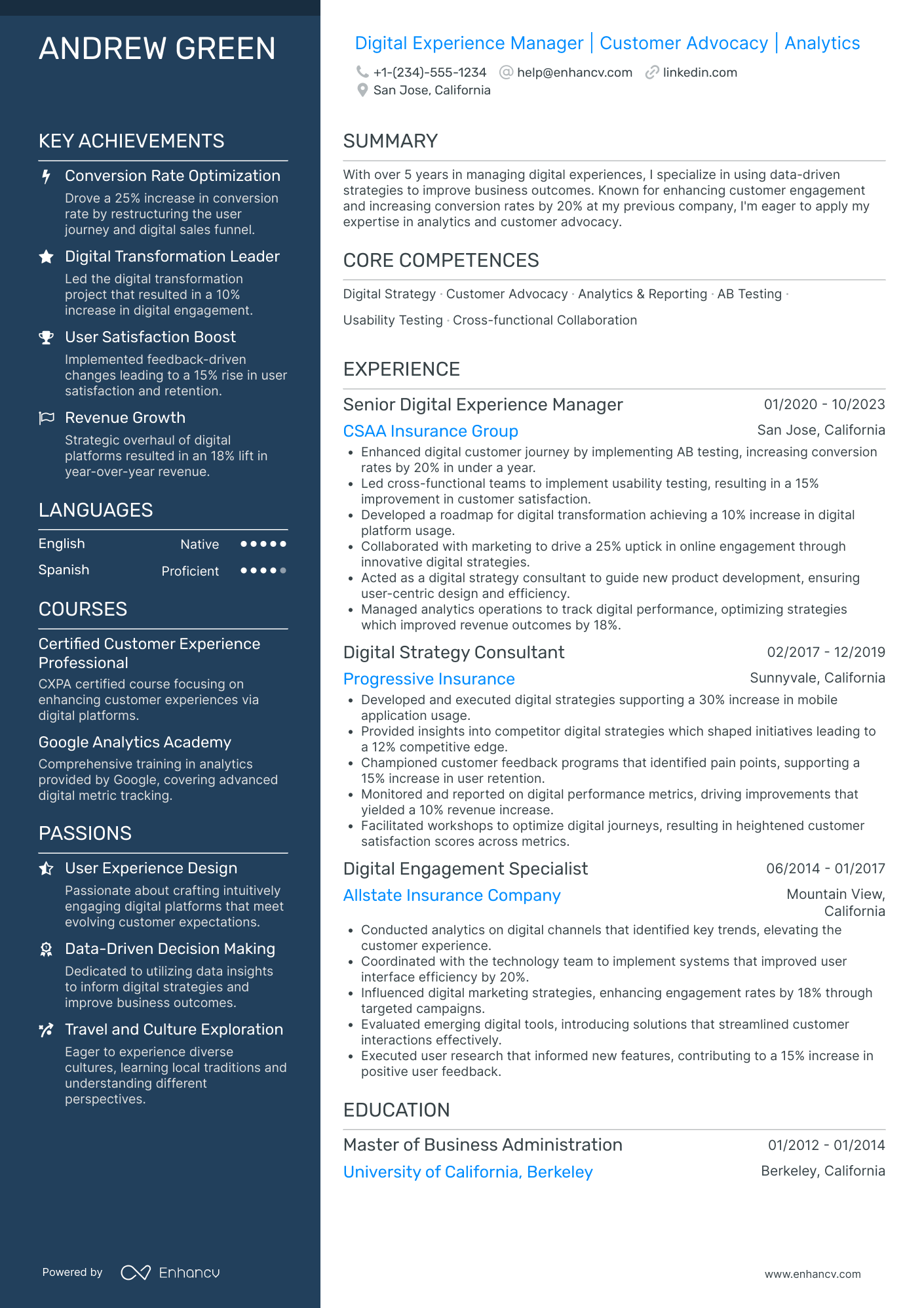 Chief Digital Experience Officer Resume Example