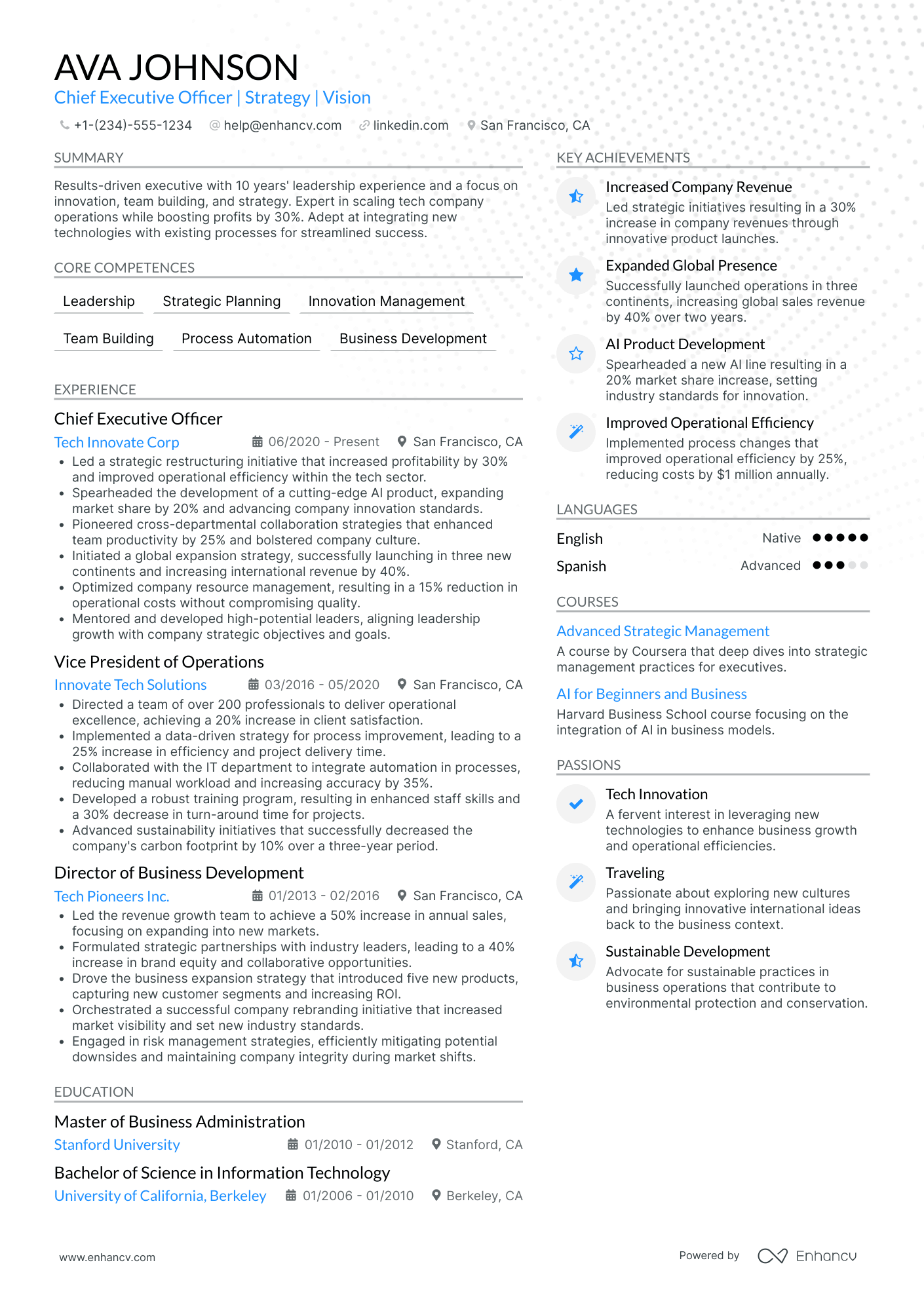 Interim Chief Networking Officer Resume Example